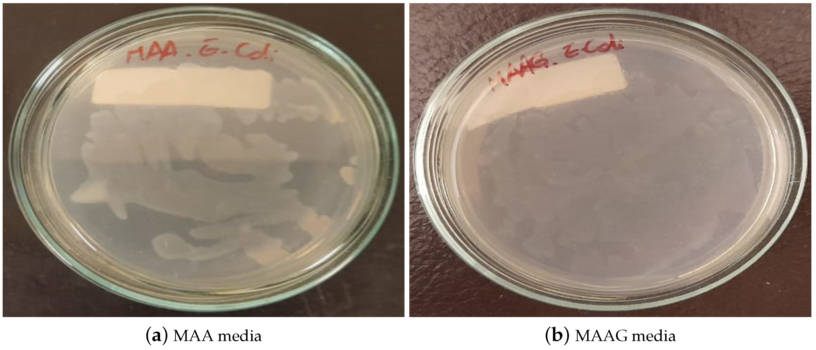 Preprints 150664 g007
