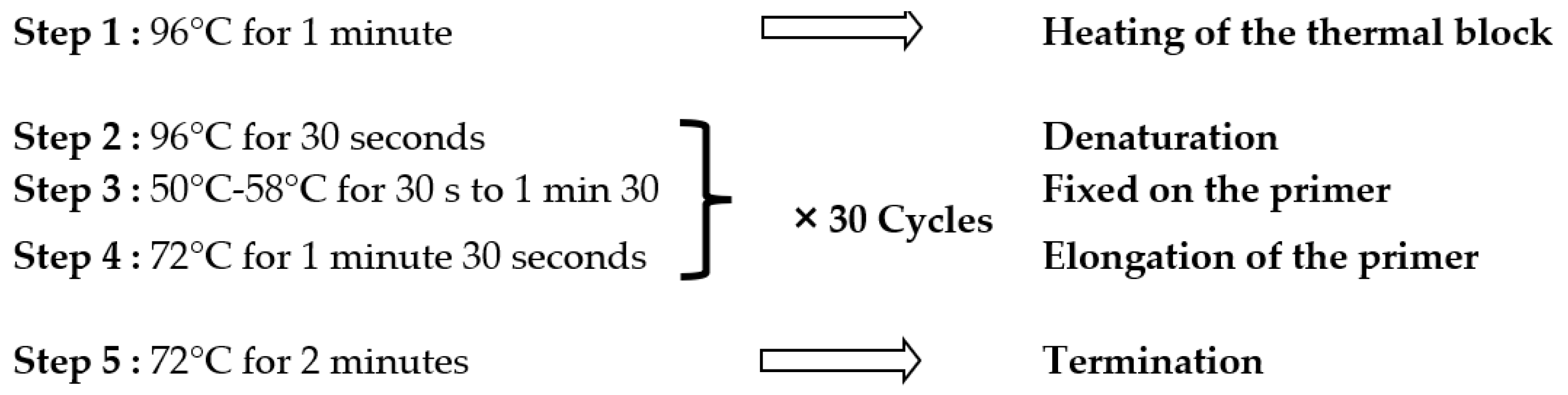 Preprints 118854 g001