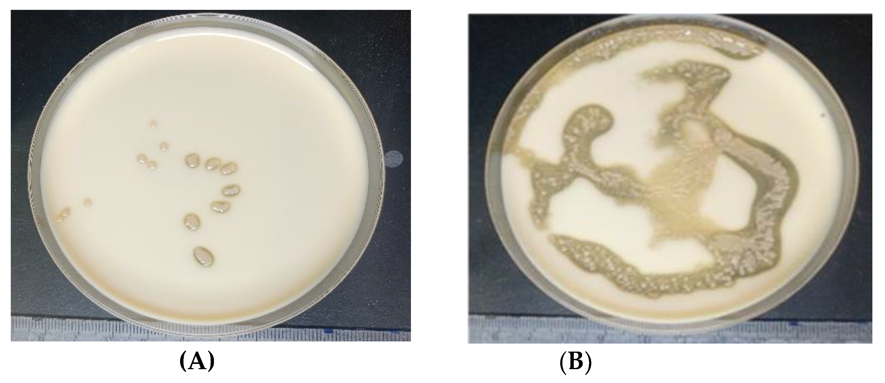 Preprints 118854 g003