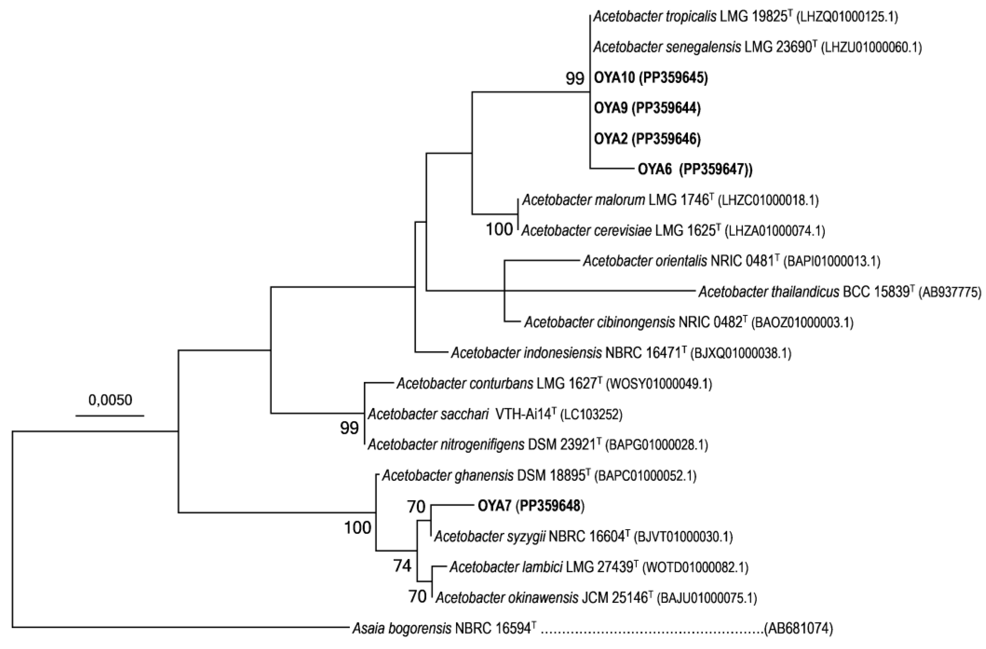 Preprints 118854 g005