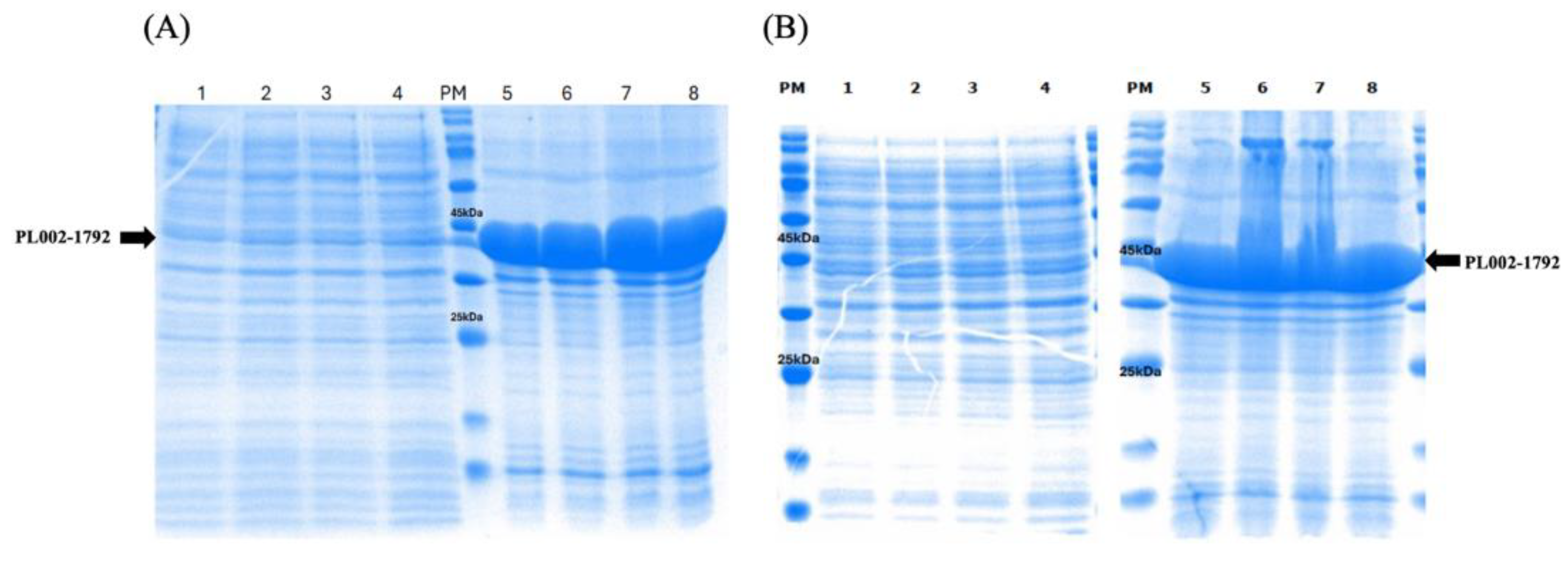 Preprints 220151 g003 Preprints 220151 g003