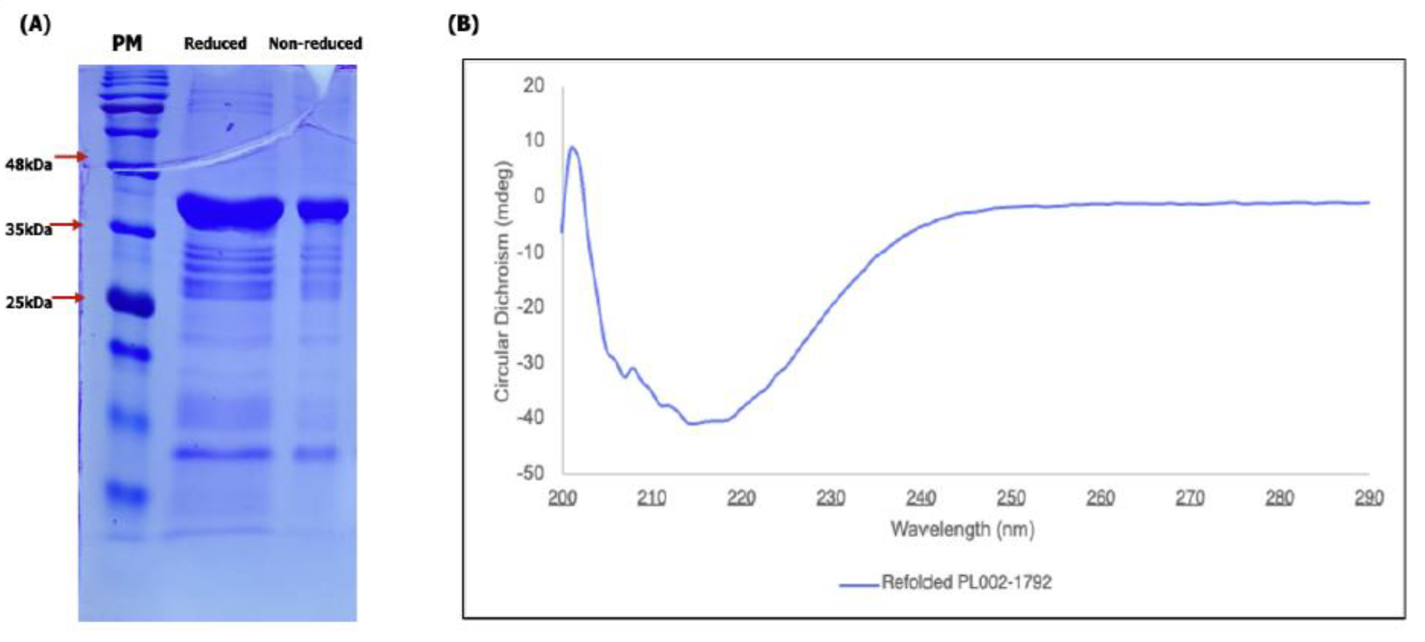 Preprints 220151 g004 Preprints 220151 g004