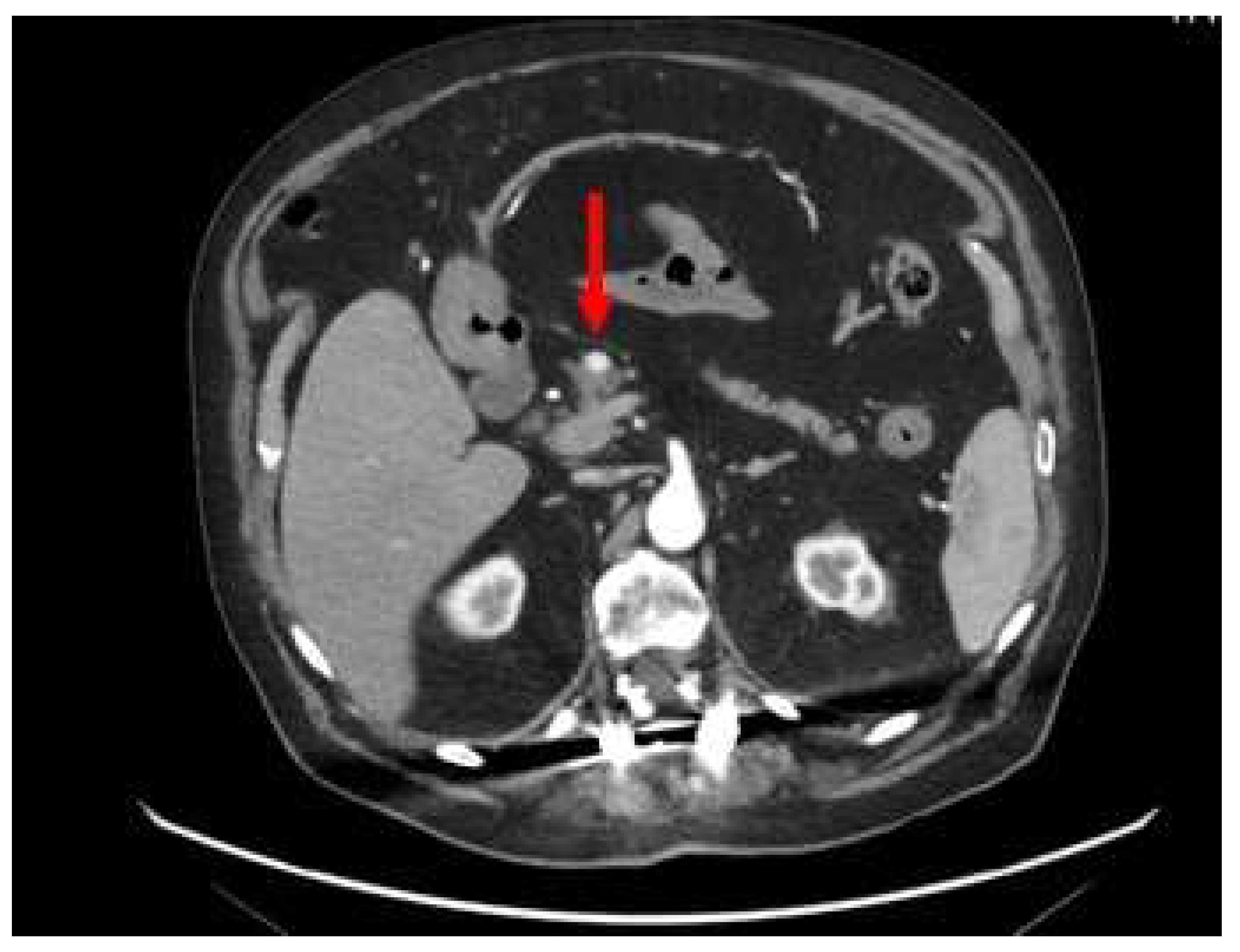 Preprints 82366 g001