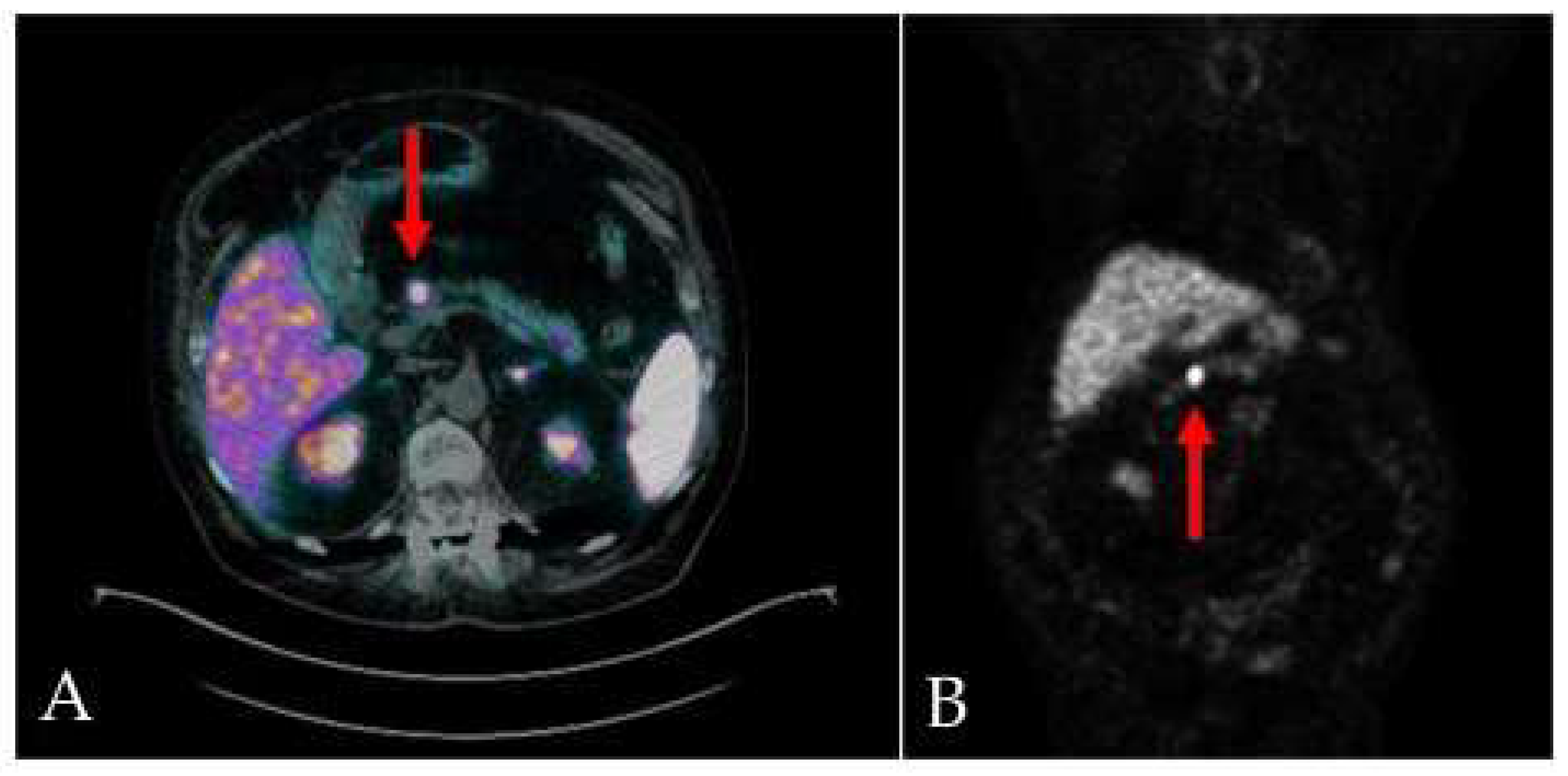 Preprints 82366 g002