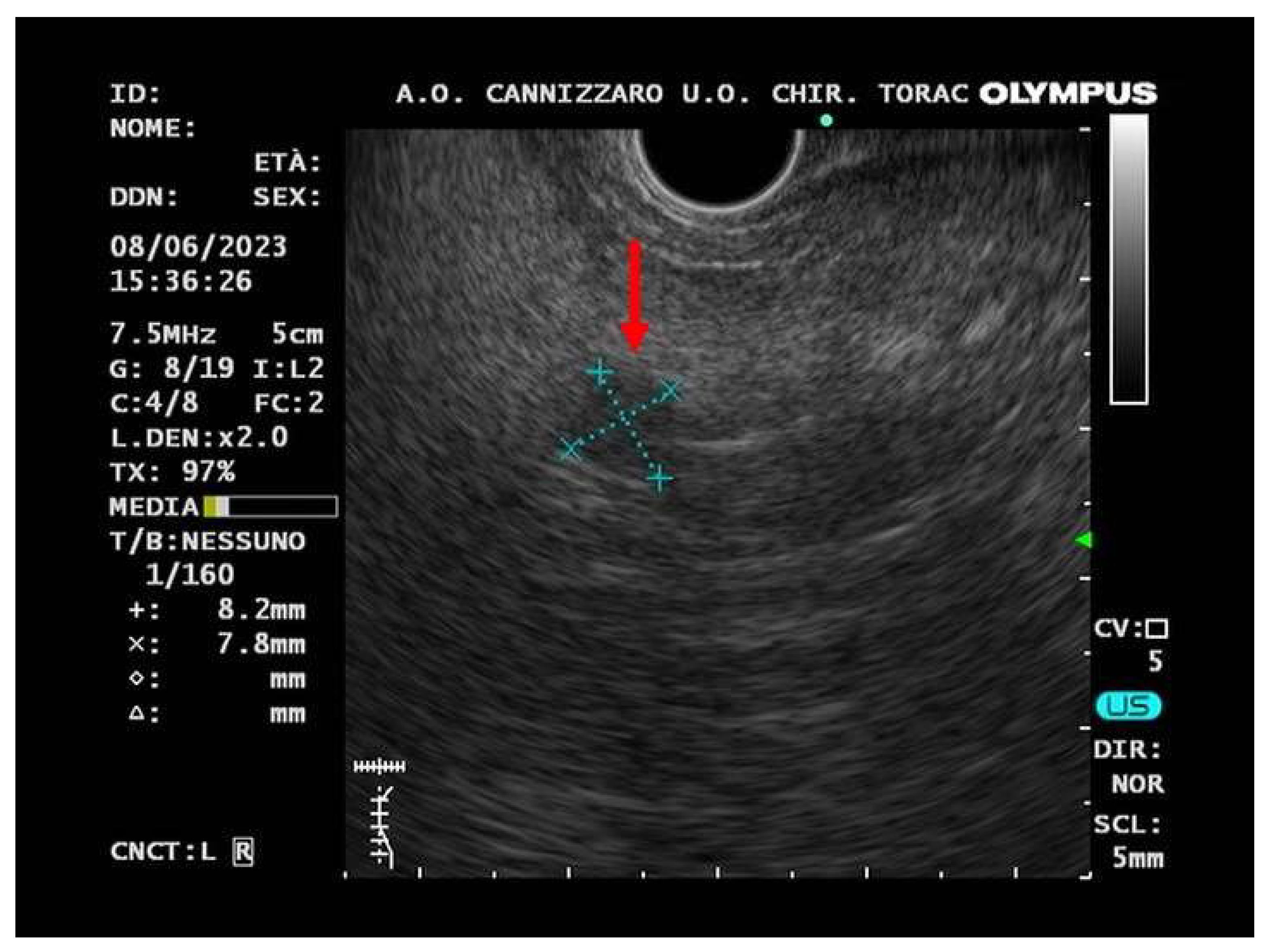 Preprints 82366 g003