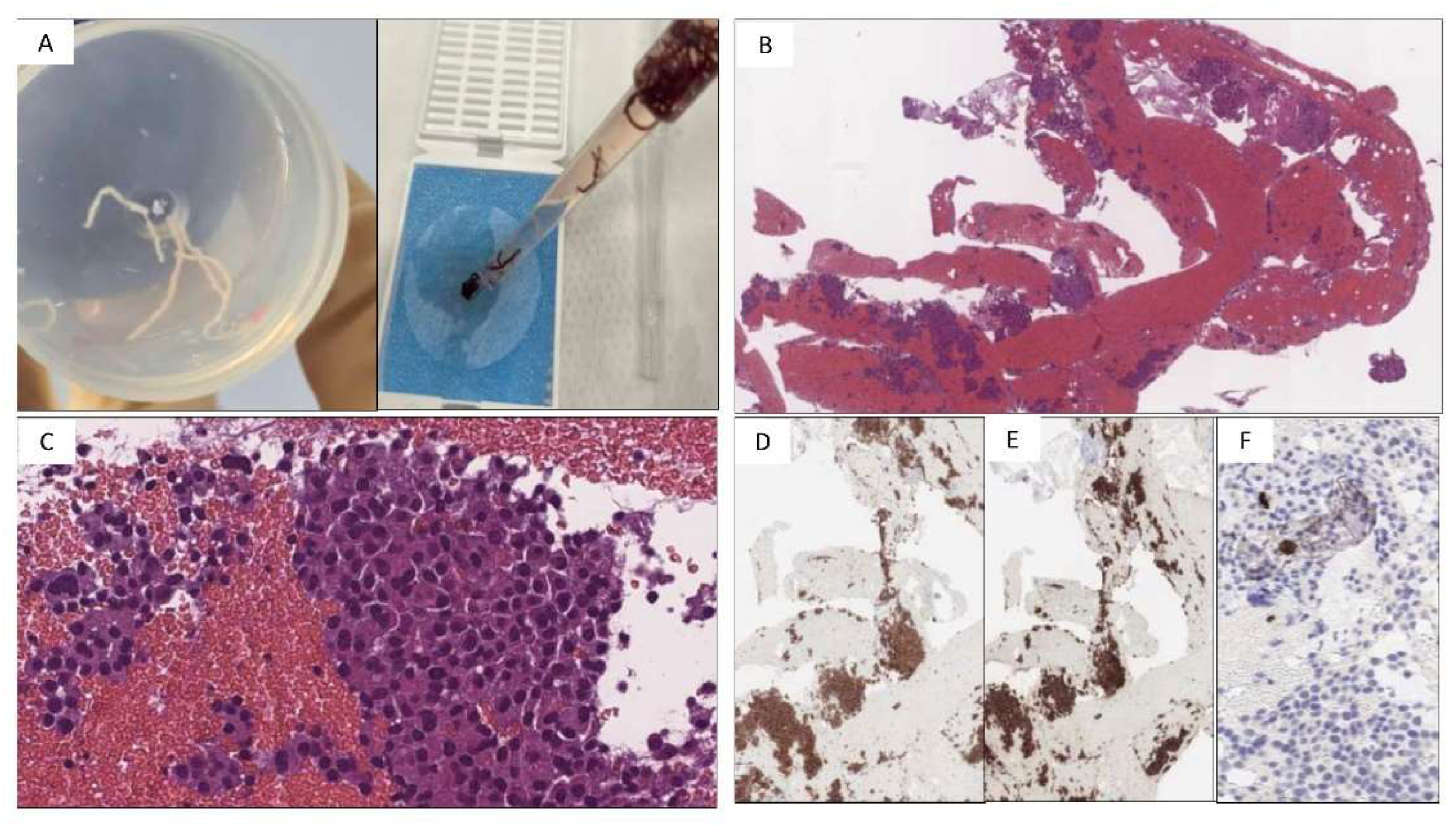 Preprints 82366 g004