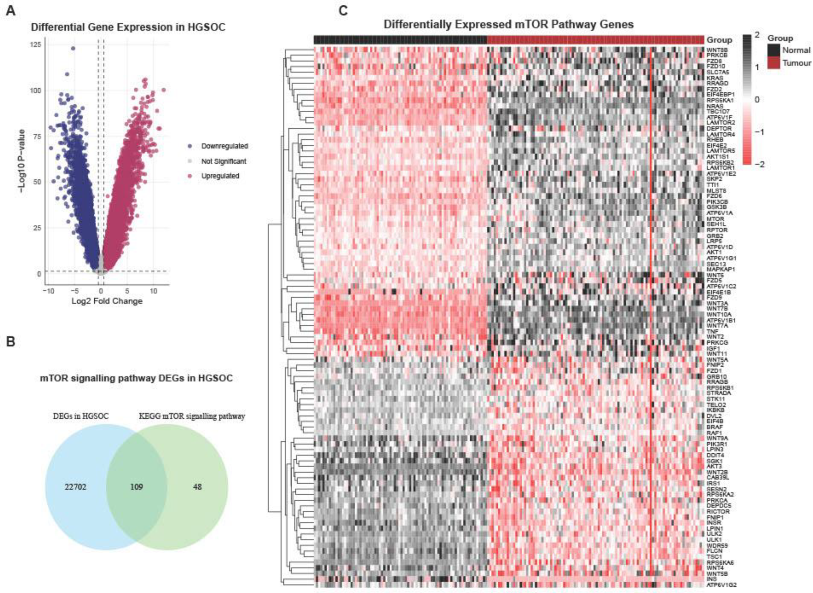 Preprints 198066 g002