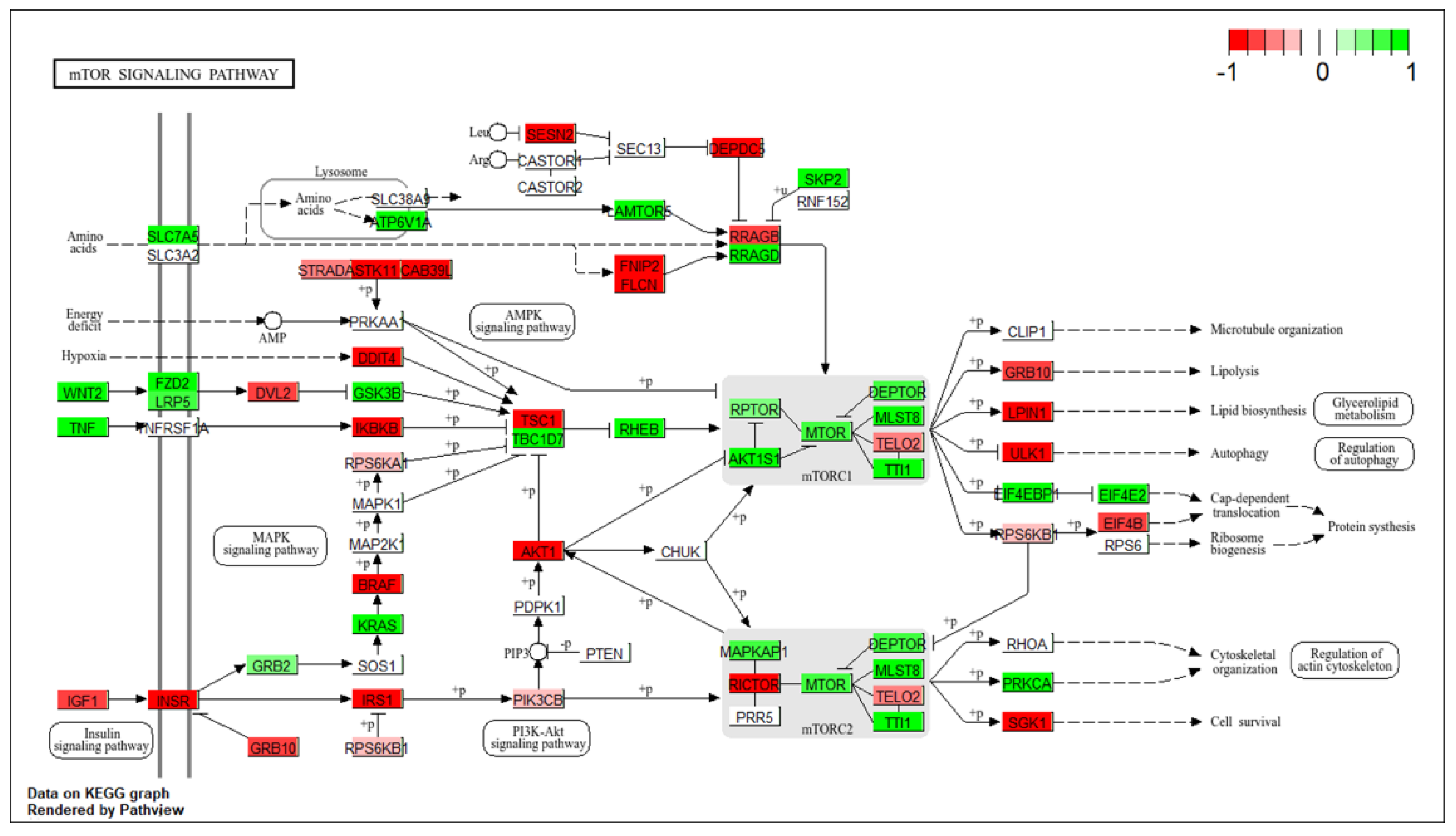 Preprints 198066 g003