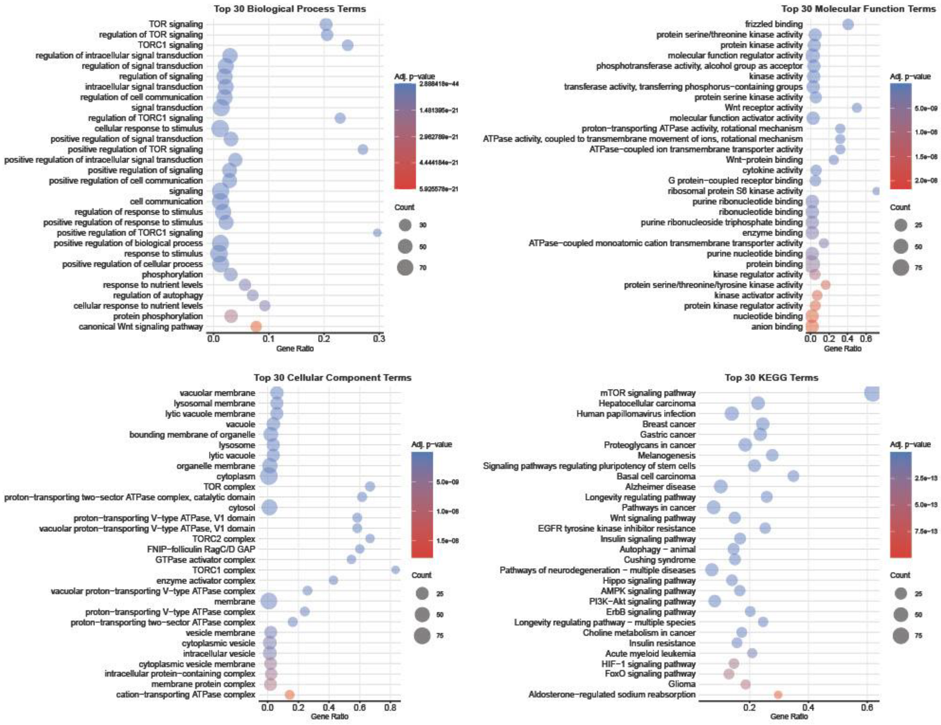 Preprints 198066 g004