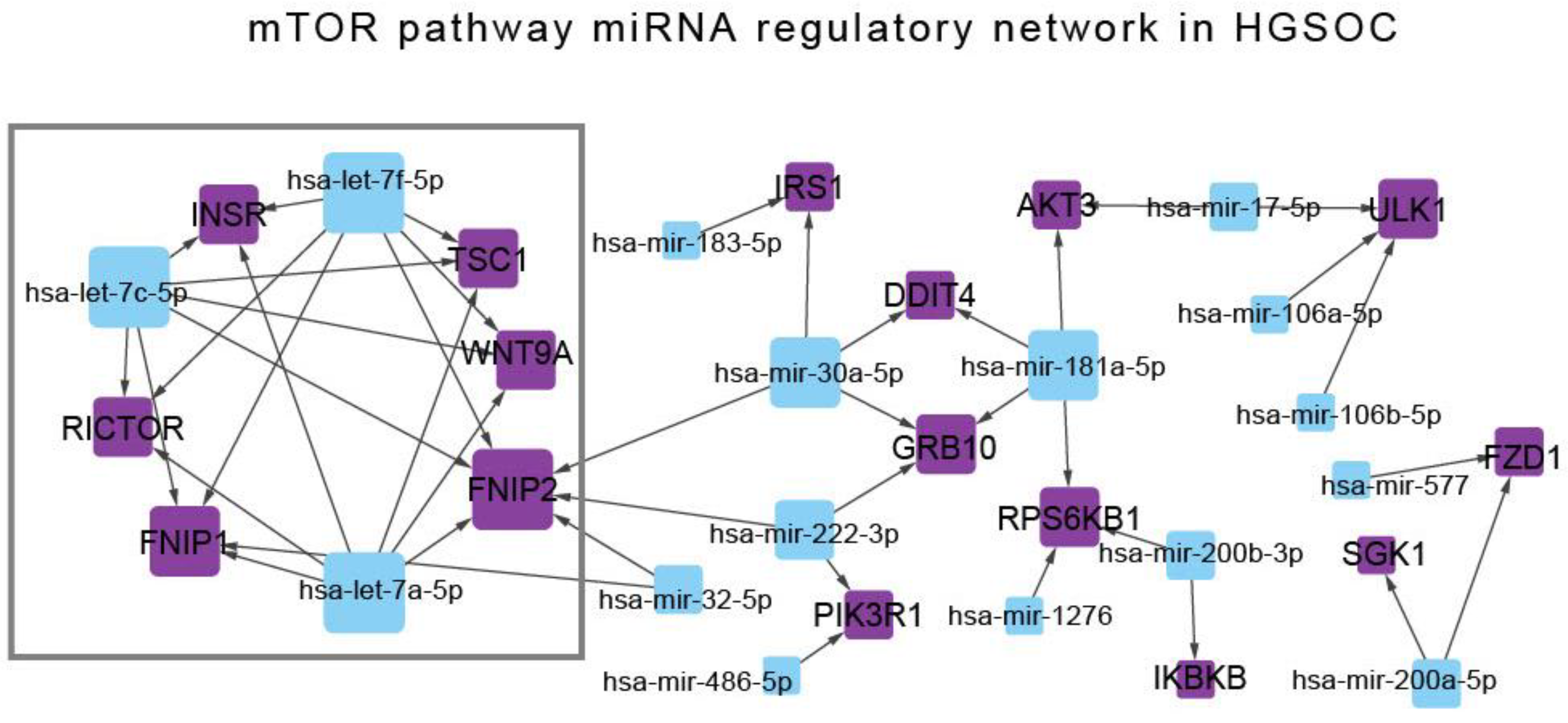 Preprints 198066 g006