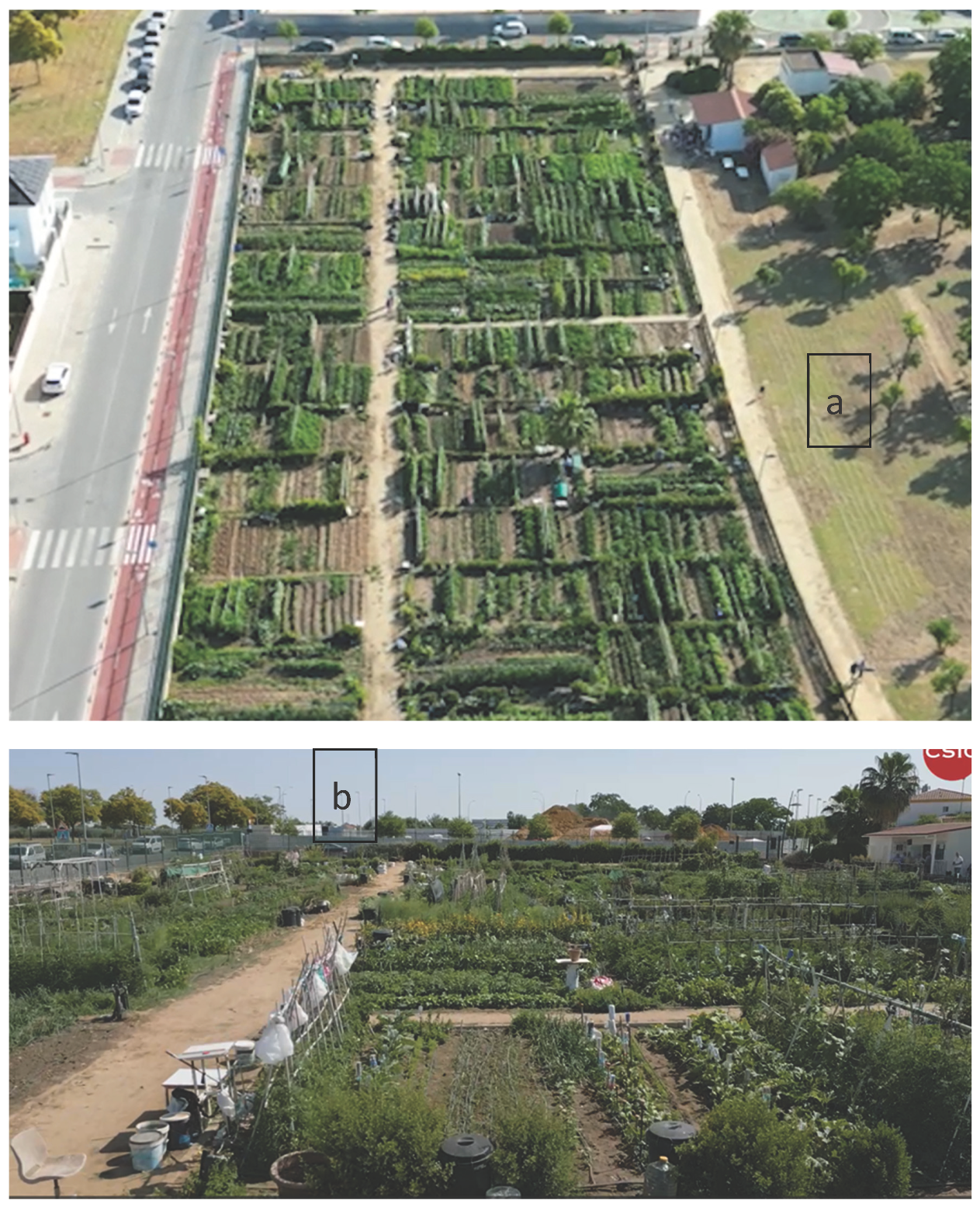 Preprints 186897 g001