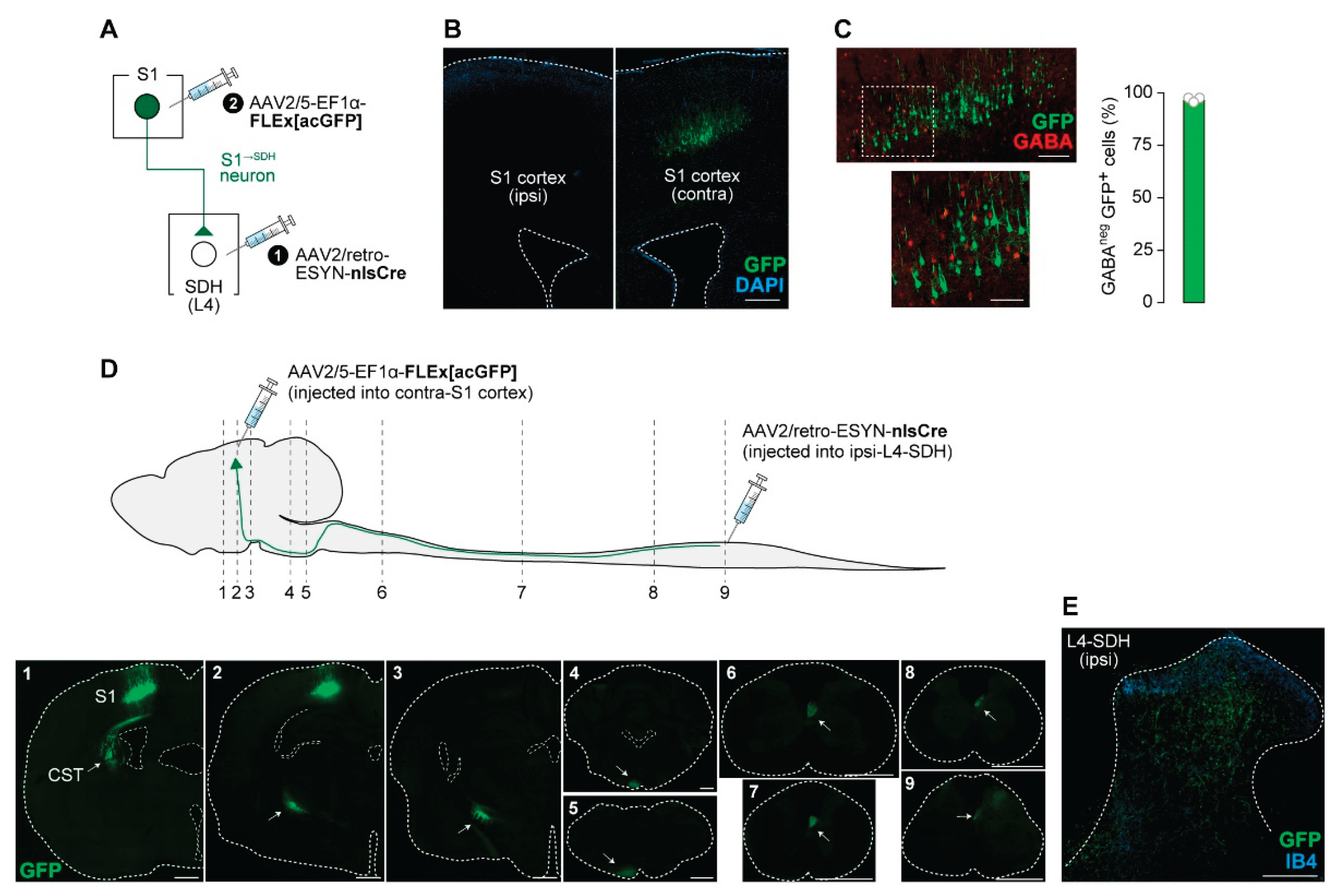 Preprints 183258 g001