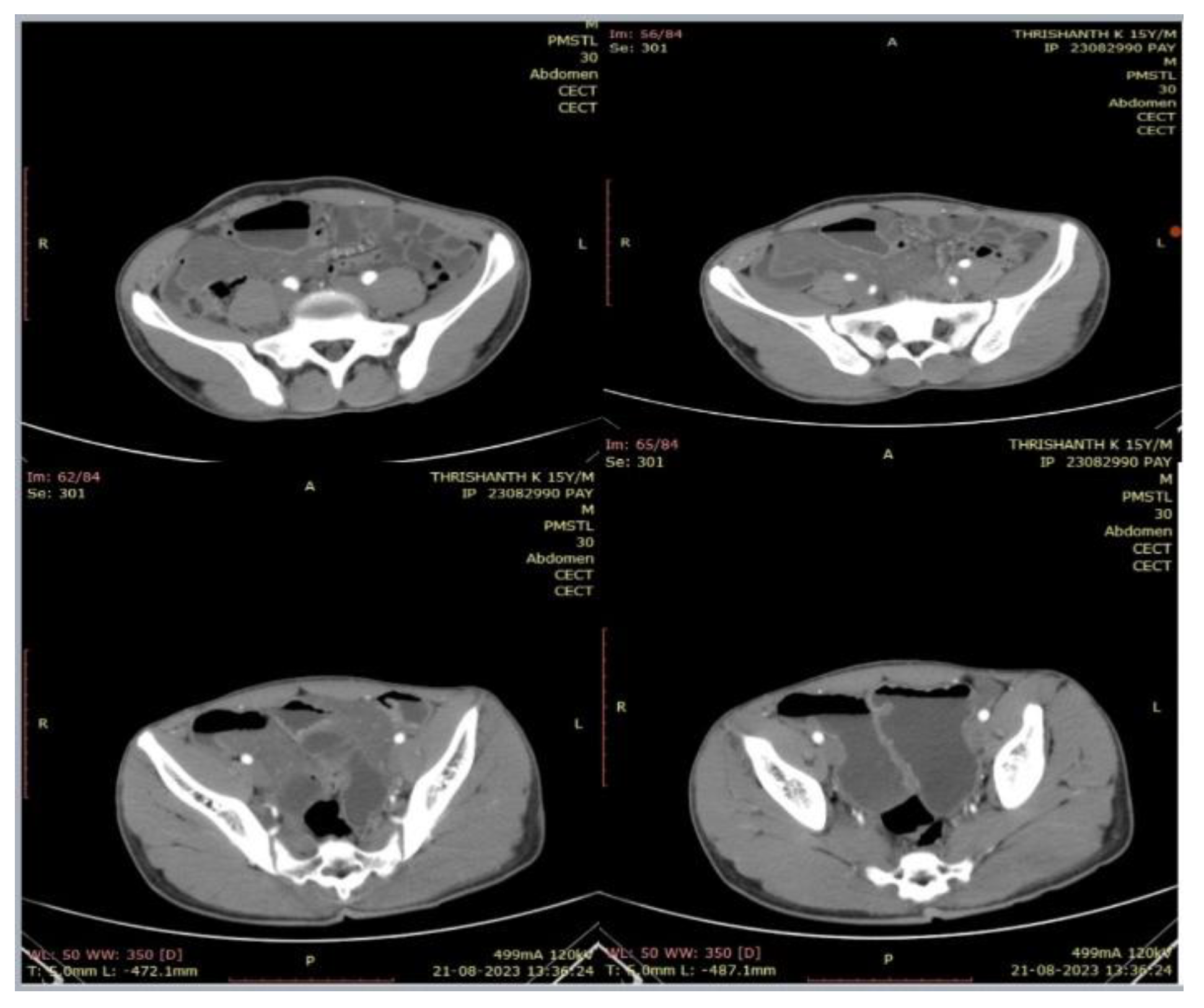Preprints 165557 g003