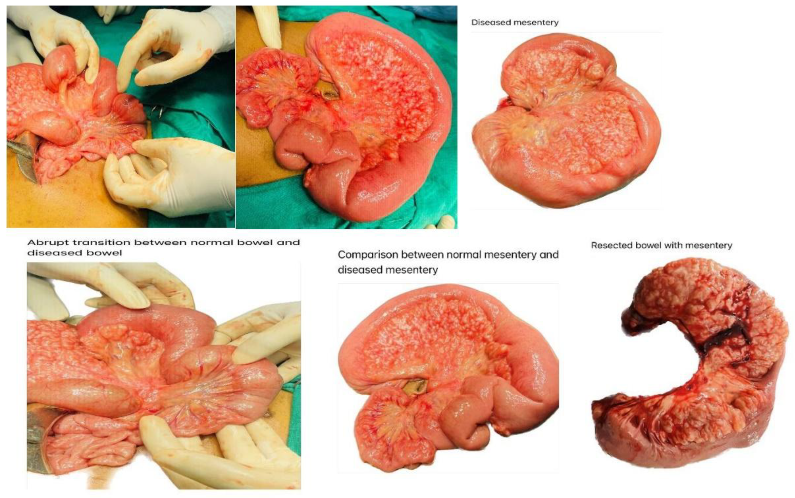 Preprints 165557 g004