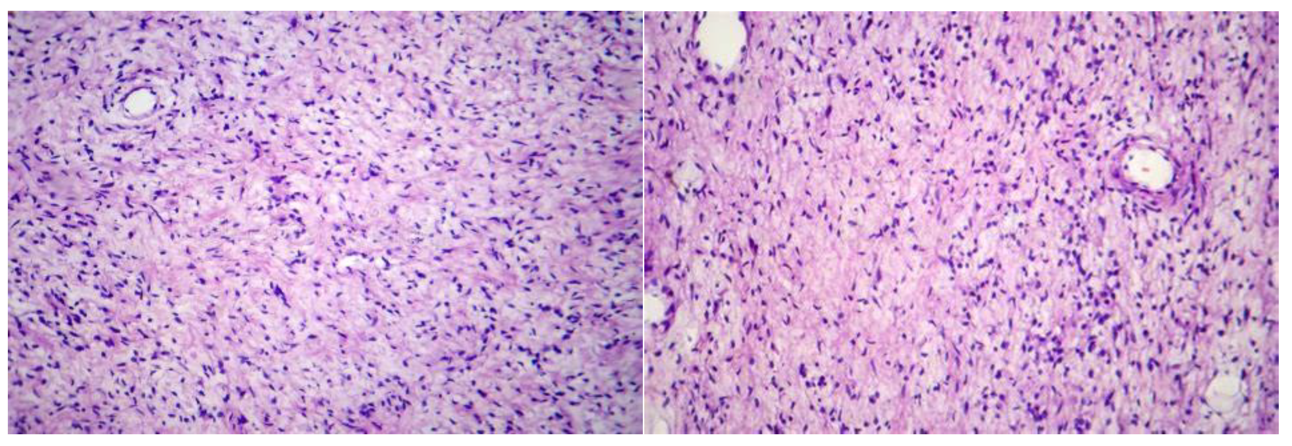 Preprints 165557 g005