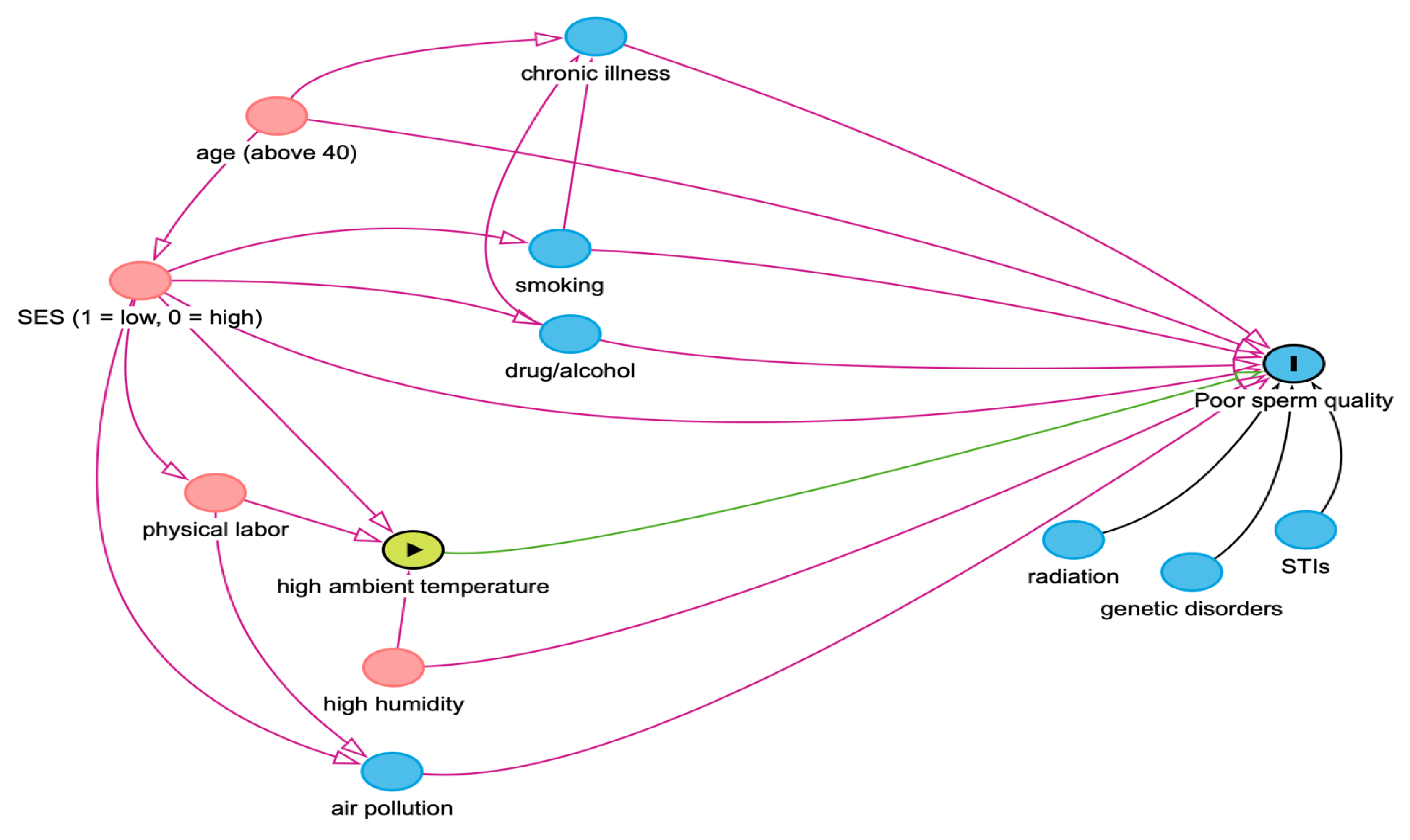Preprints 143486 g001
