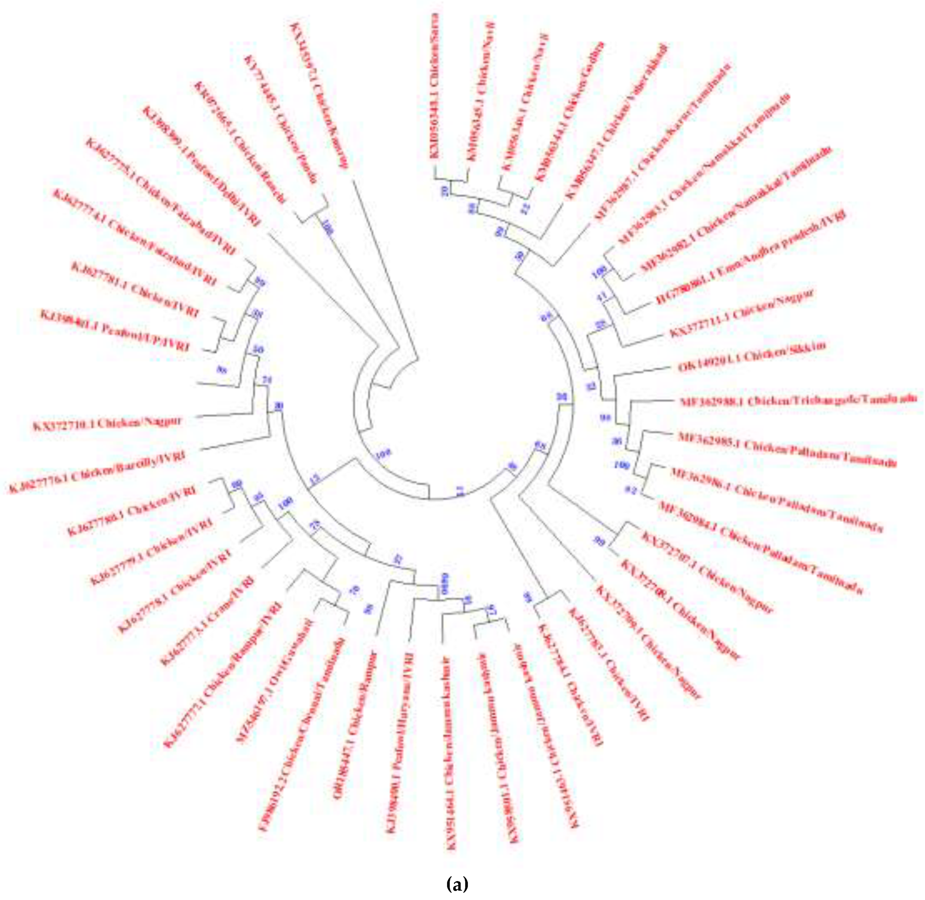 Preprints 119947 g006a