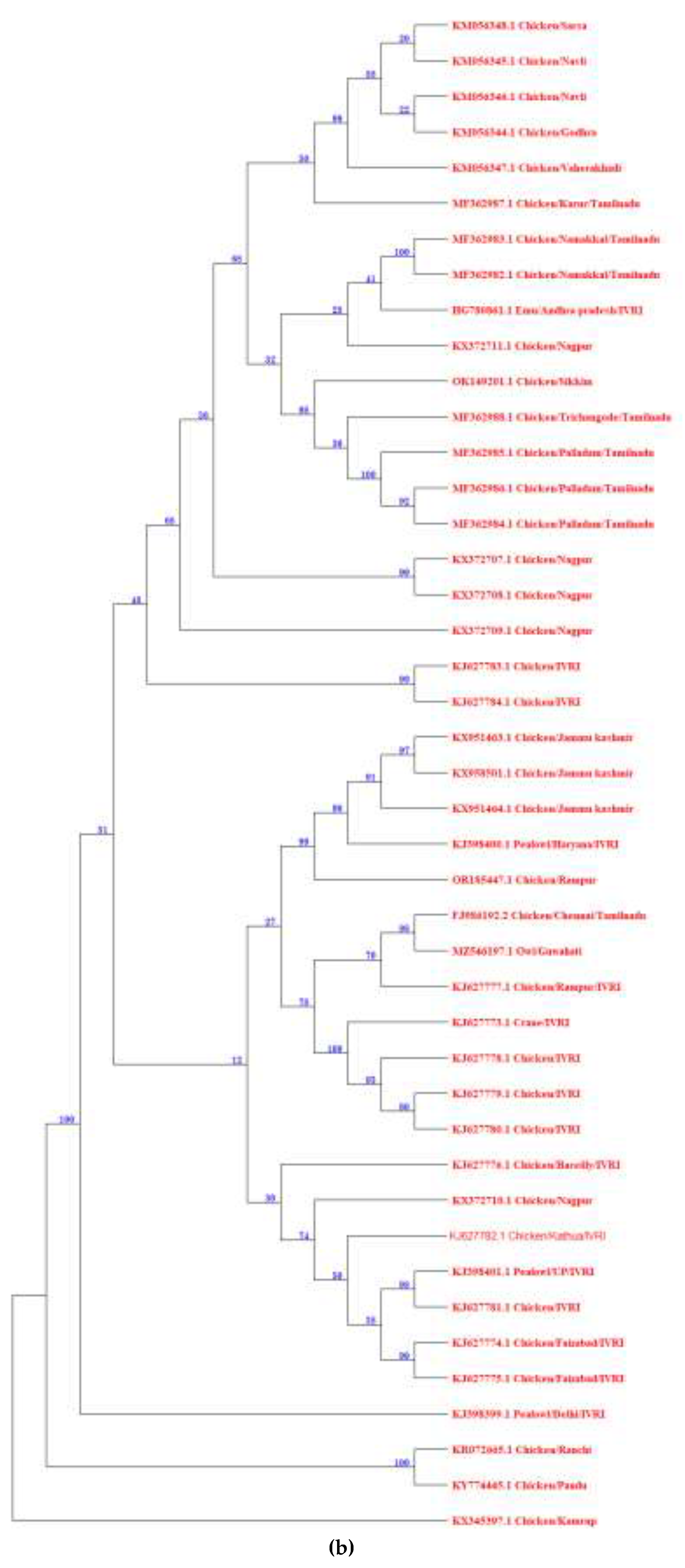 Preprints 119947 g006b