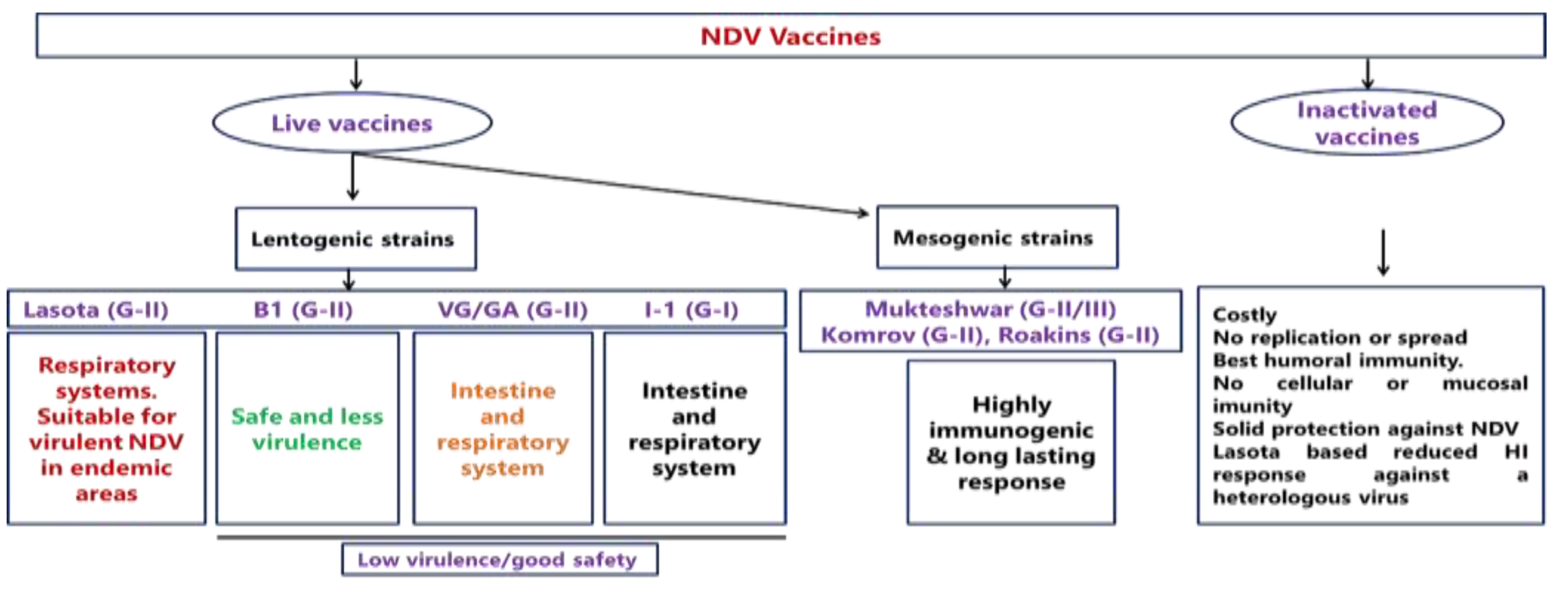 Preprints 119947 g008