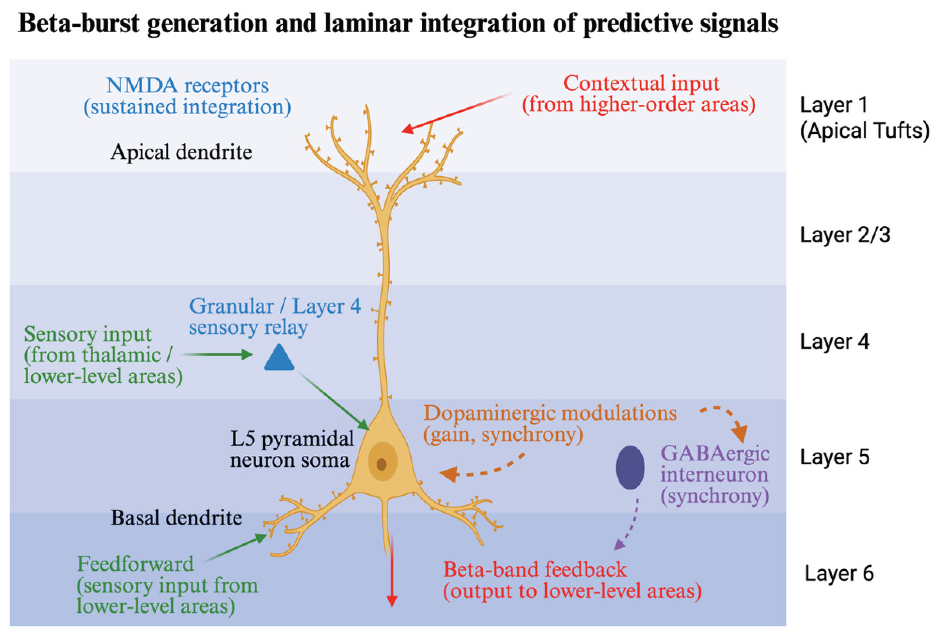 Preprints 187179 g002