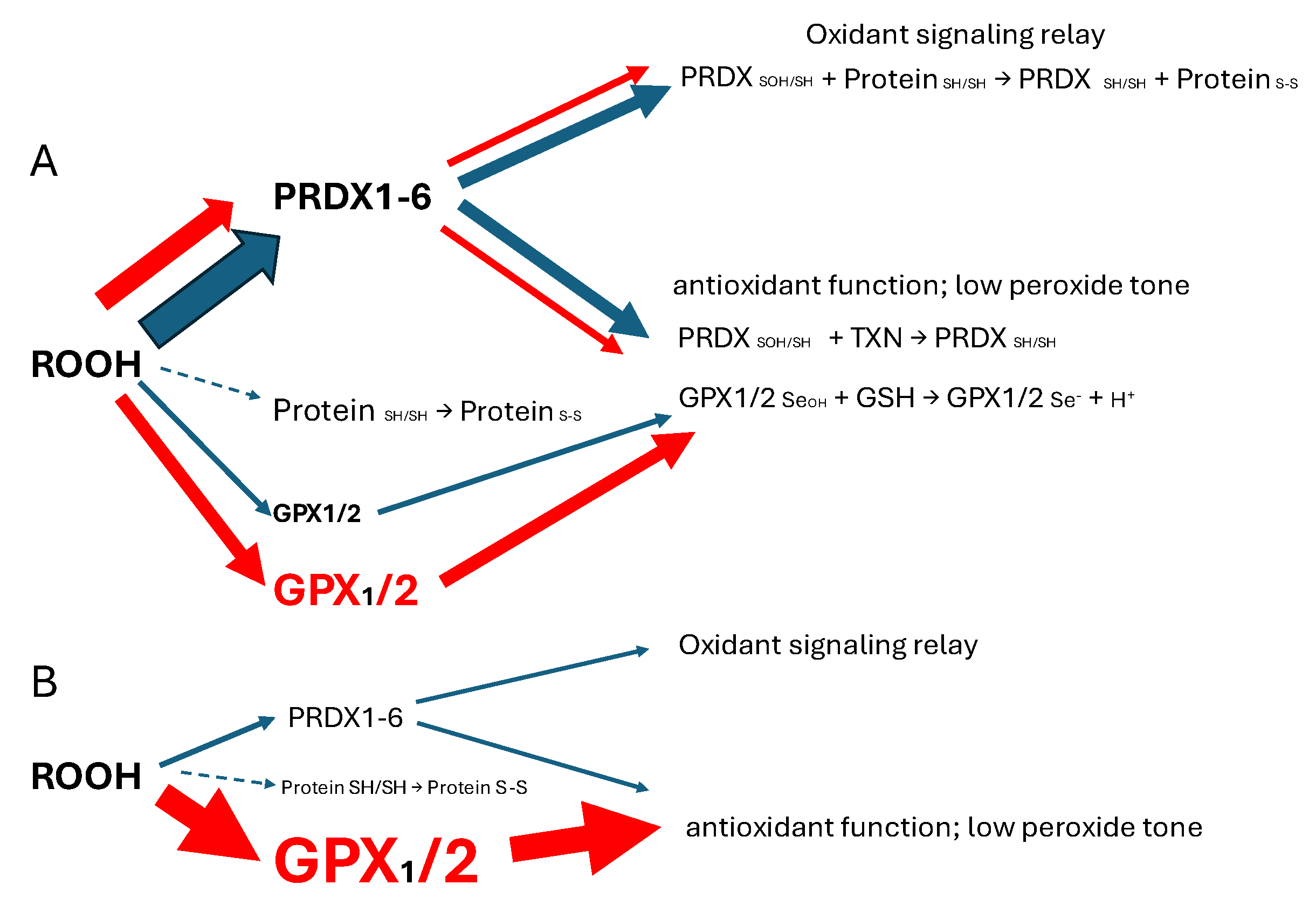 Preprints 110132 g001