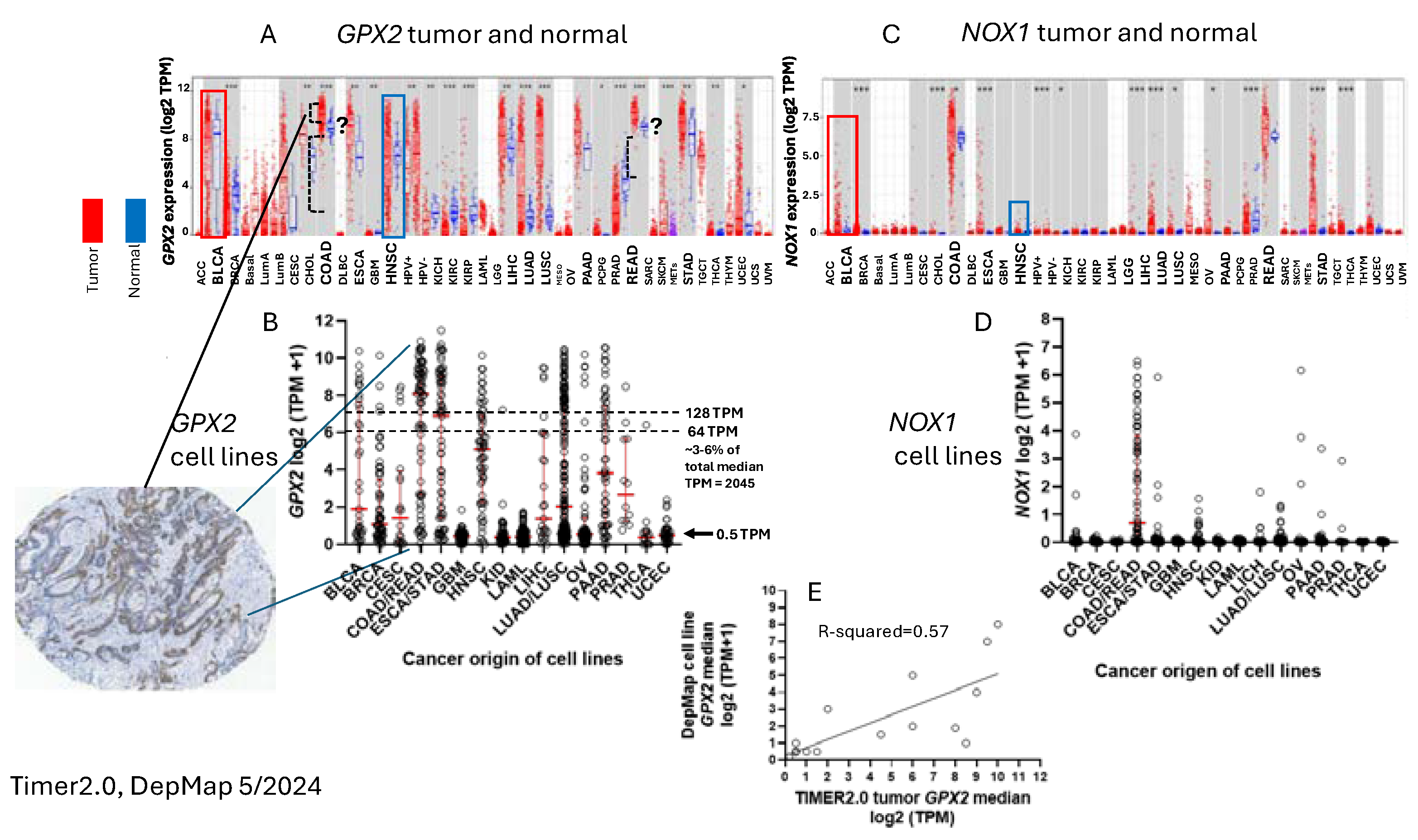 Preprints 110132 g002