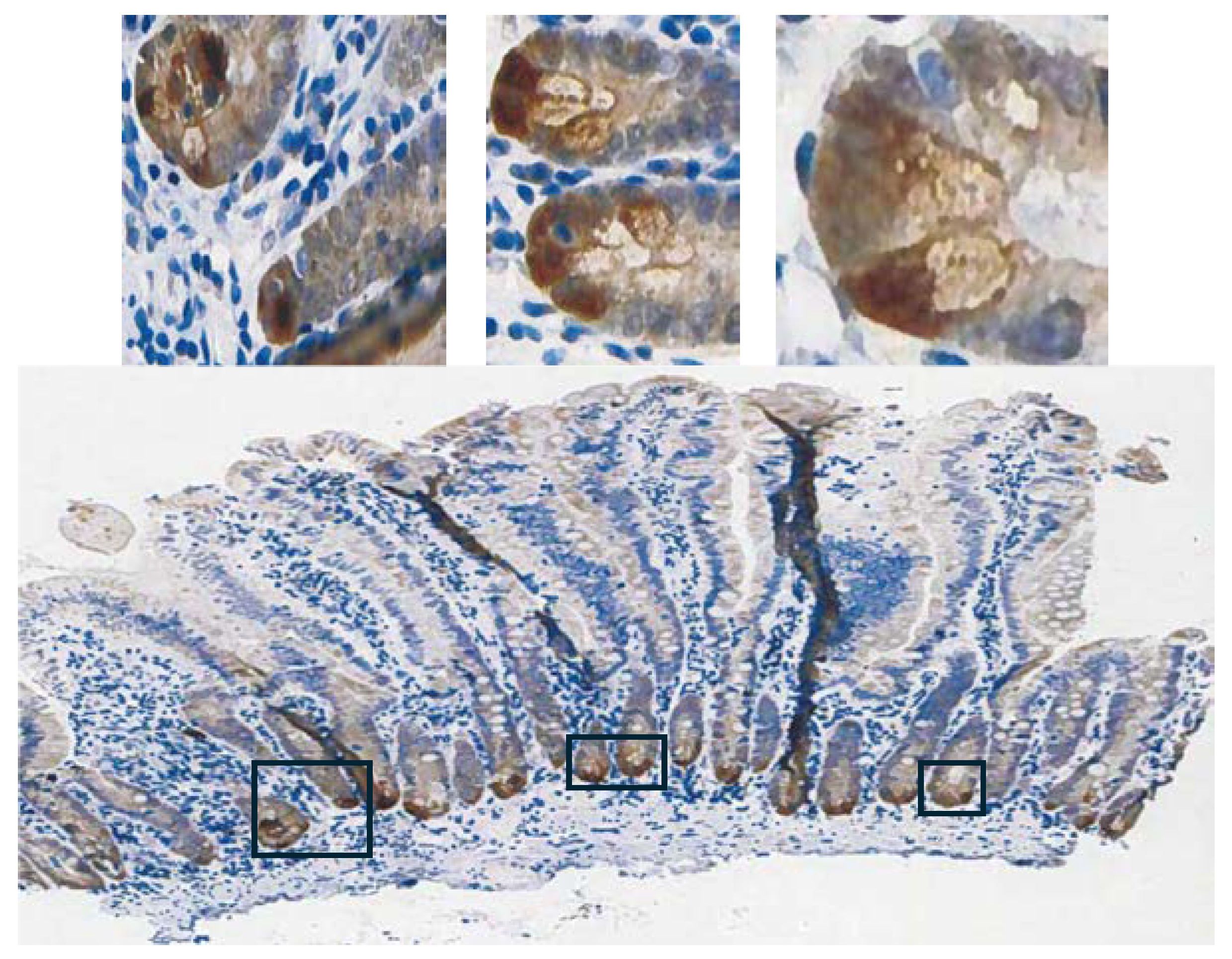 Preprints 110132 g003