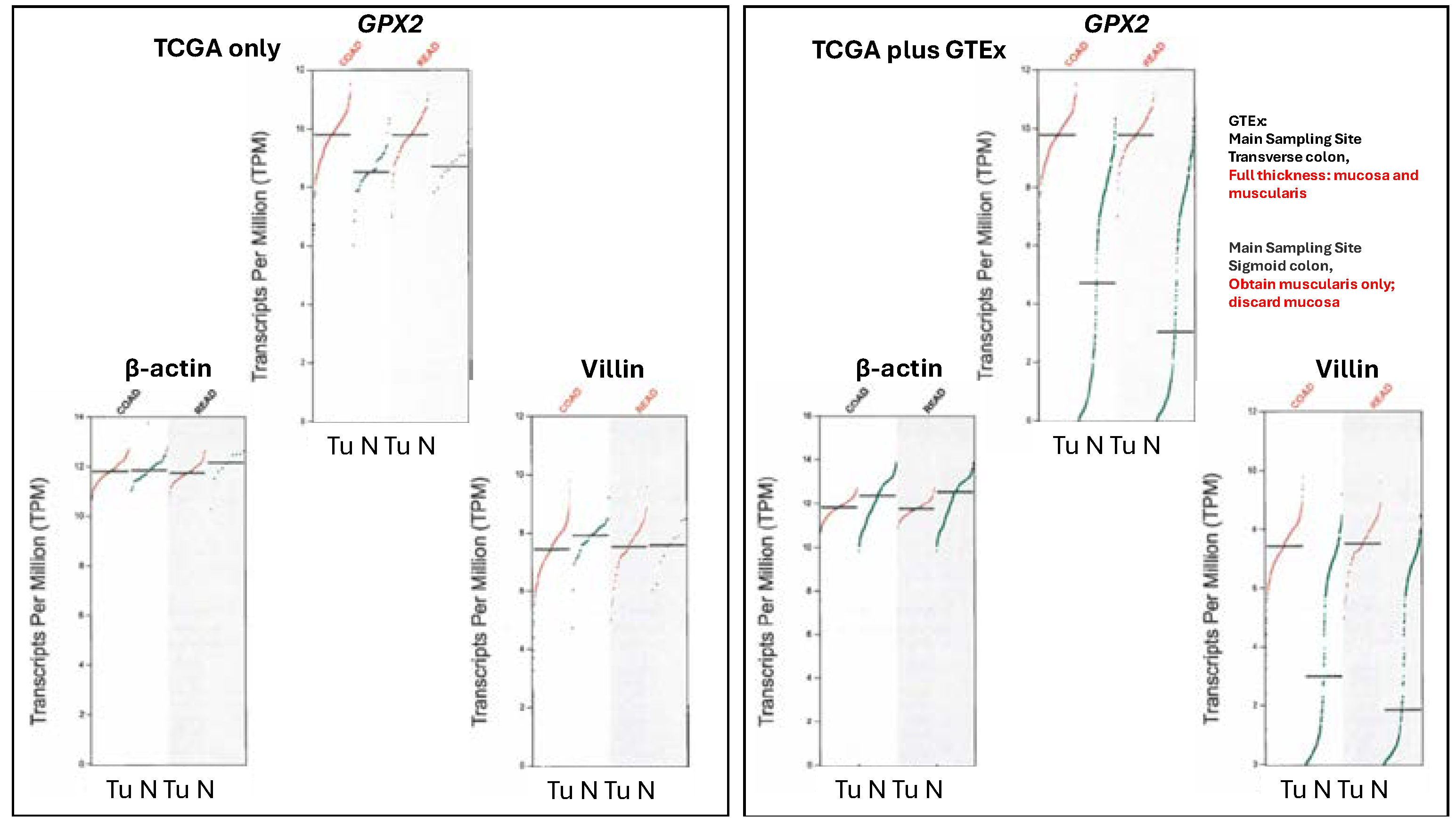 Preprints 110132 g006