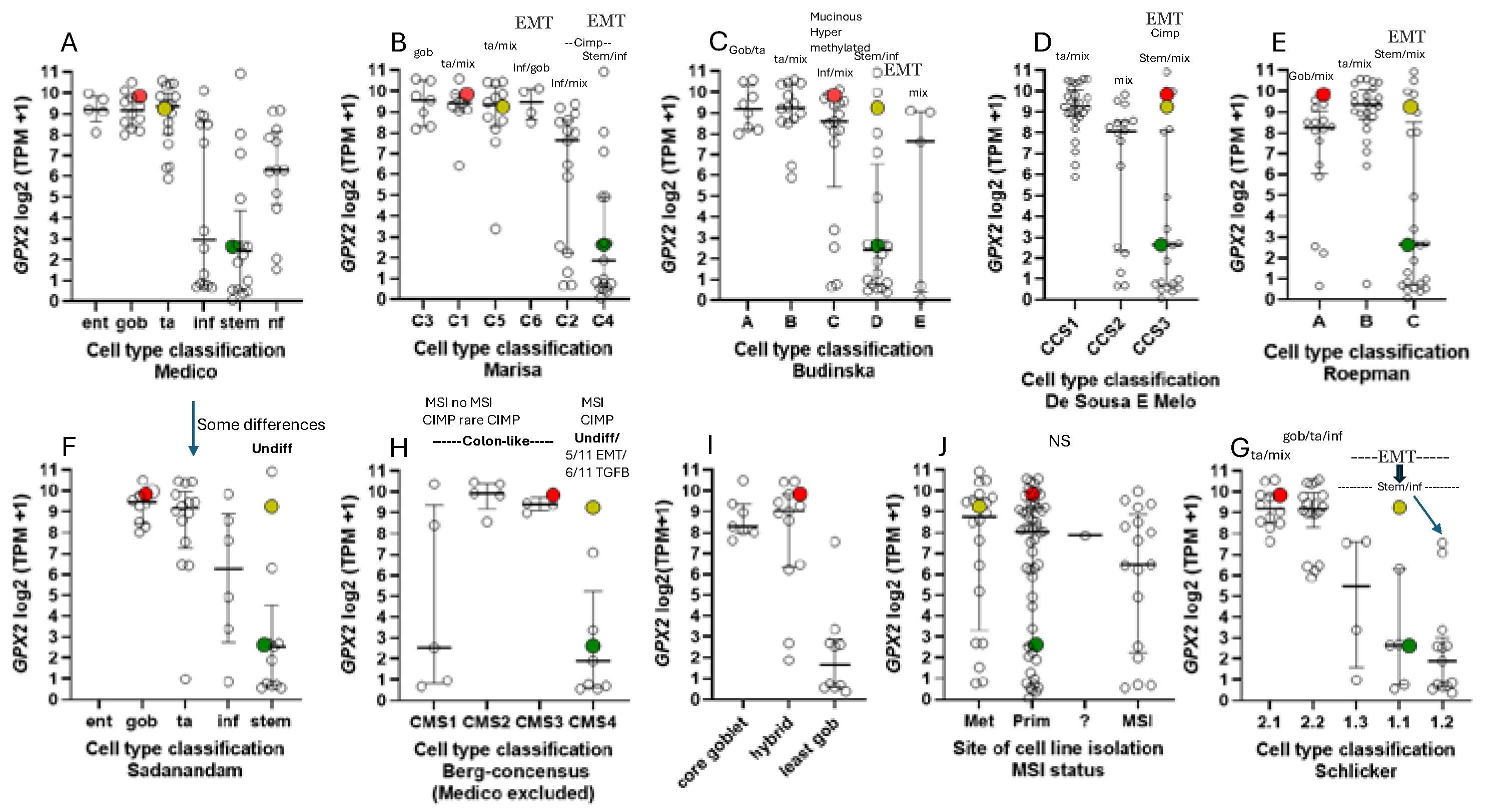 Preprints 110132 g008