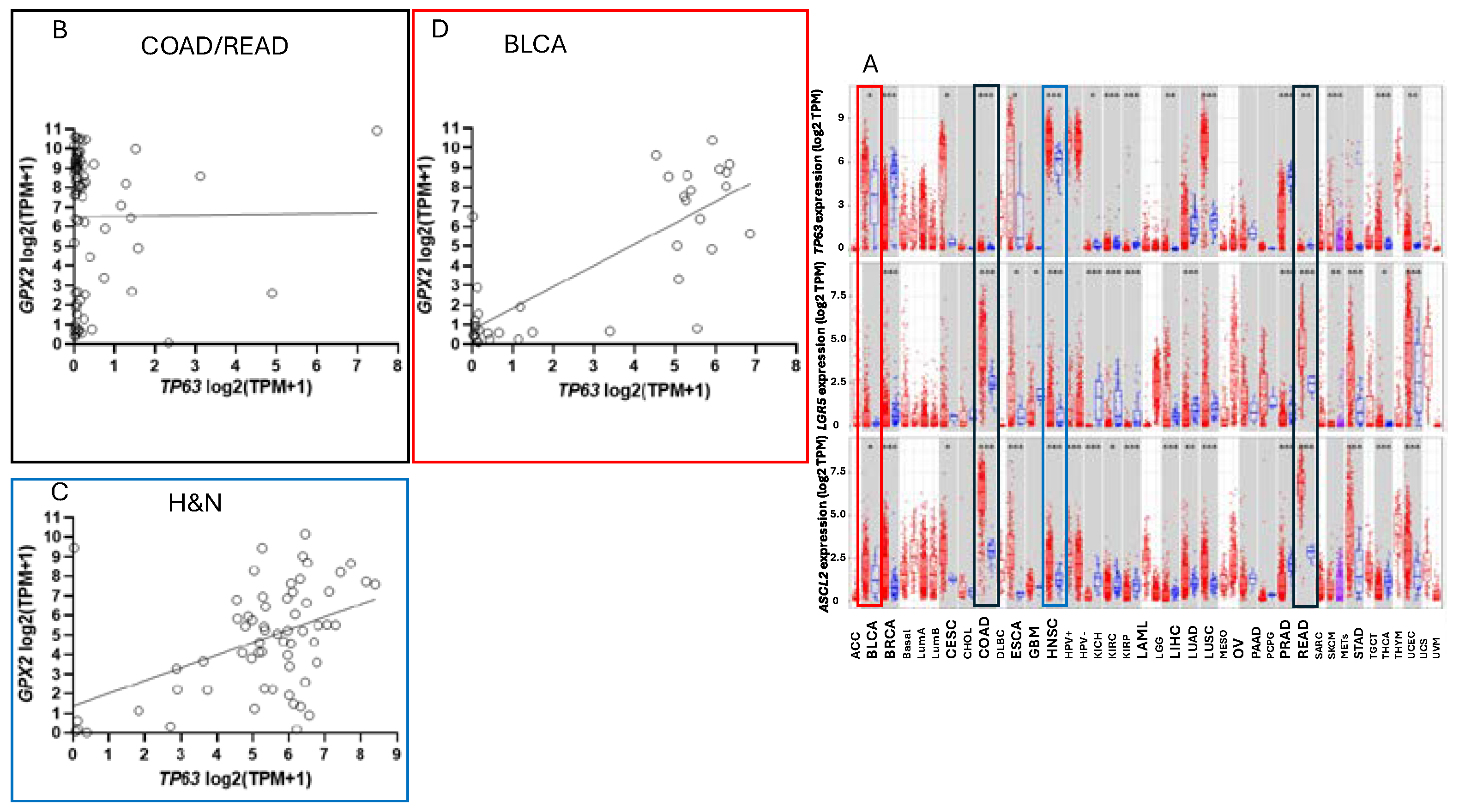 Preprints 110132 g010