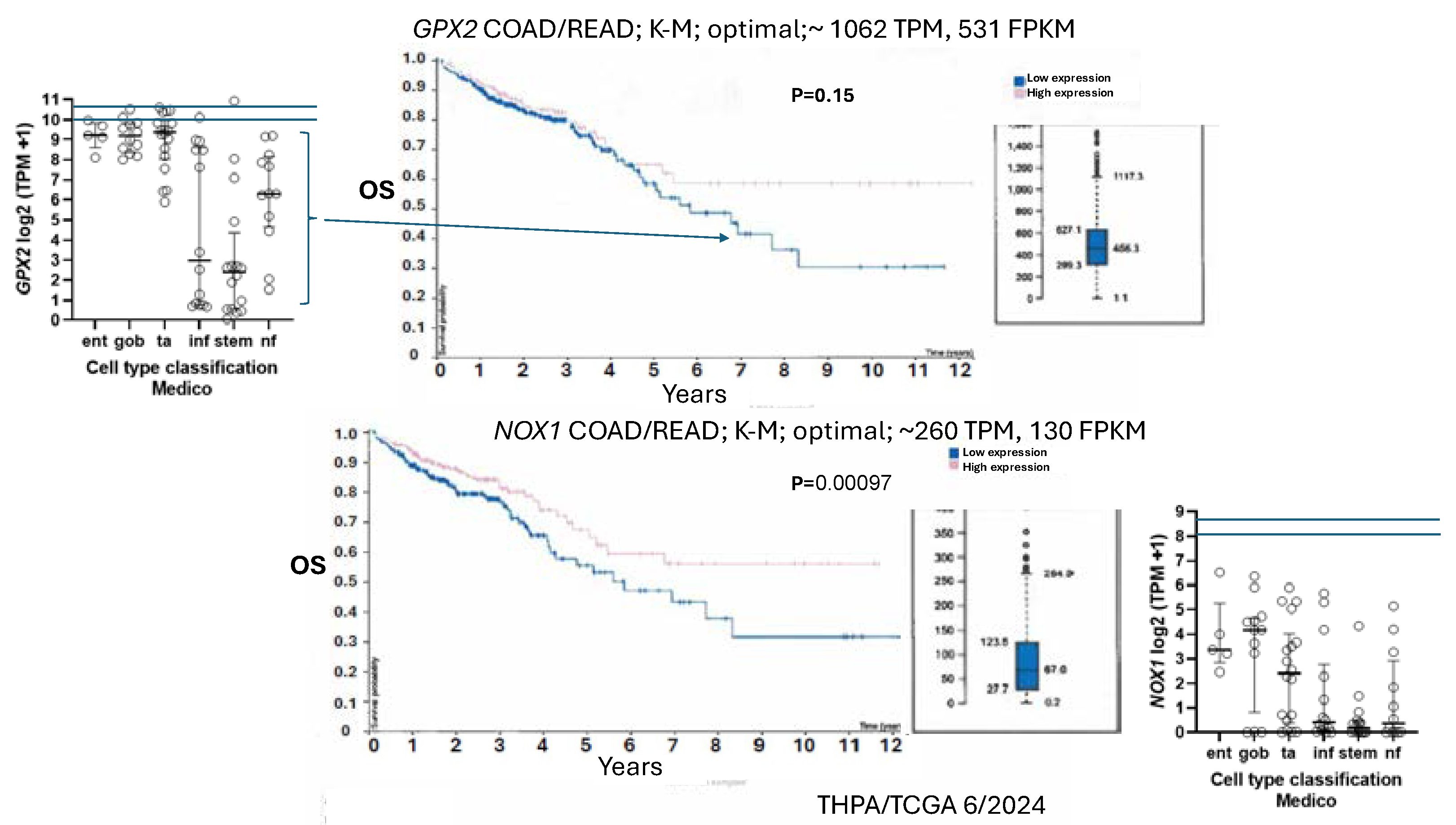 Preprints 110132 g011