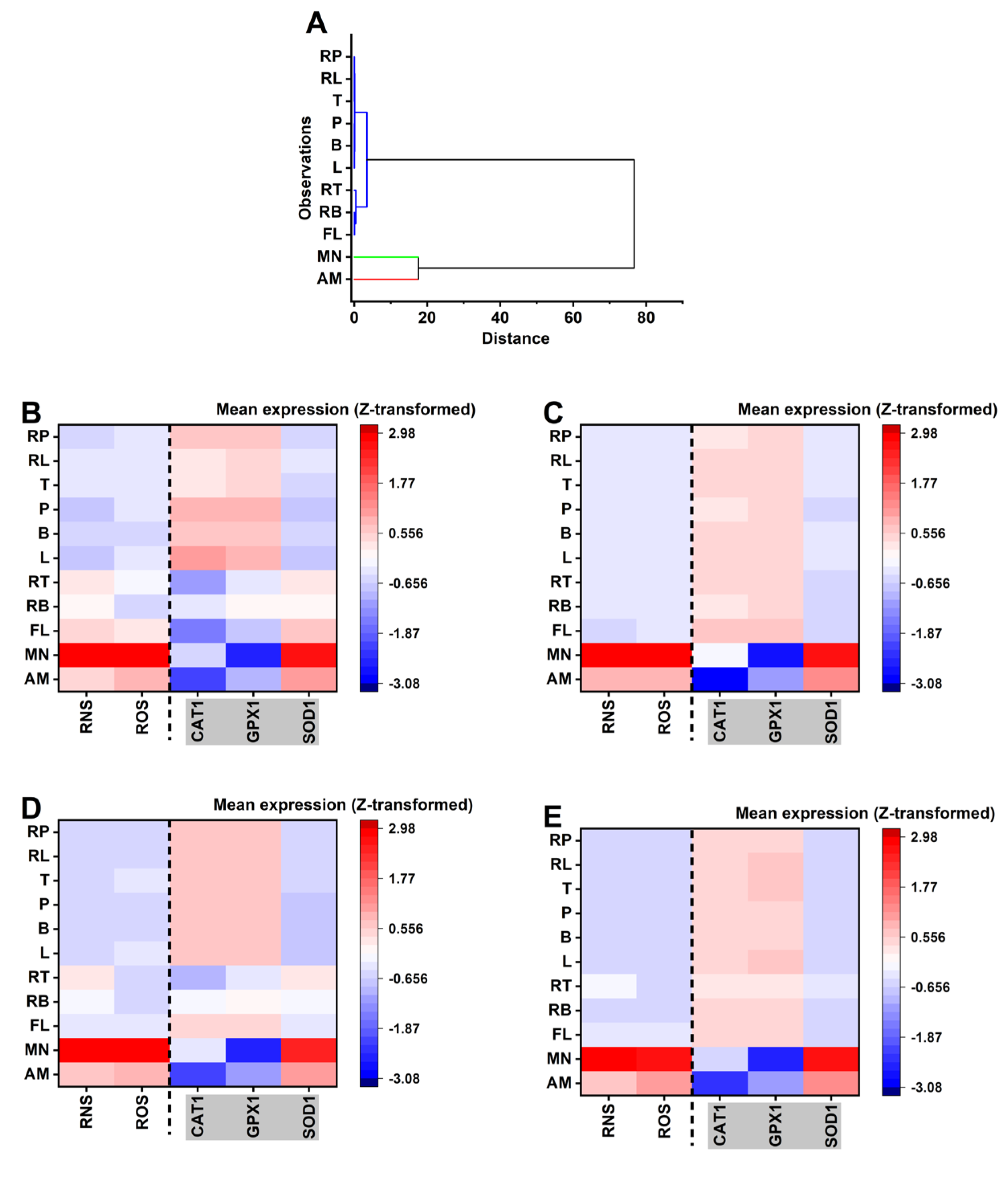 Preprints 199784 g004