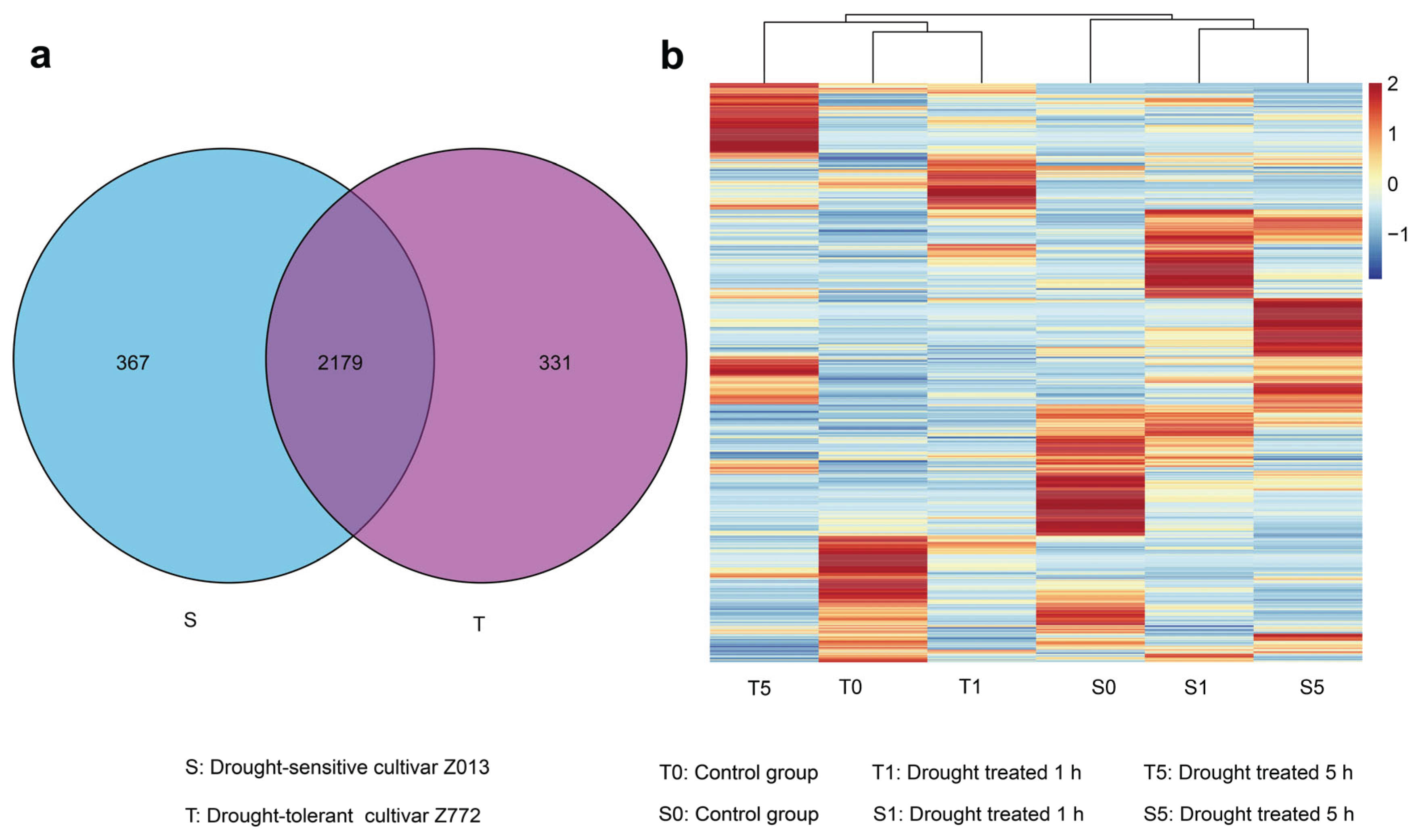 Preprints 160557 g002