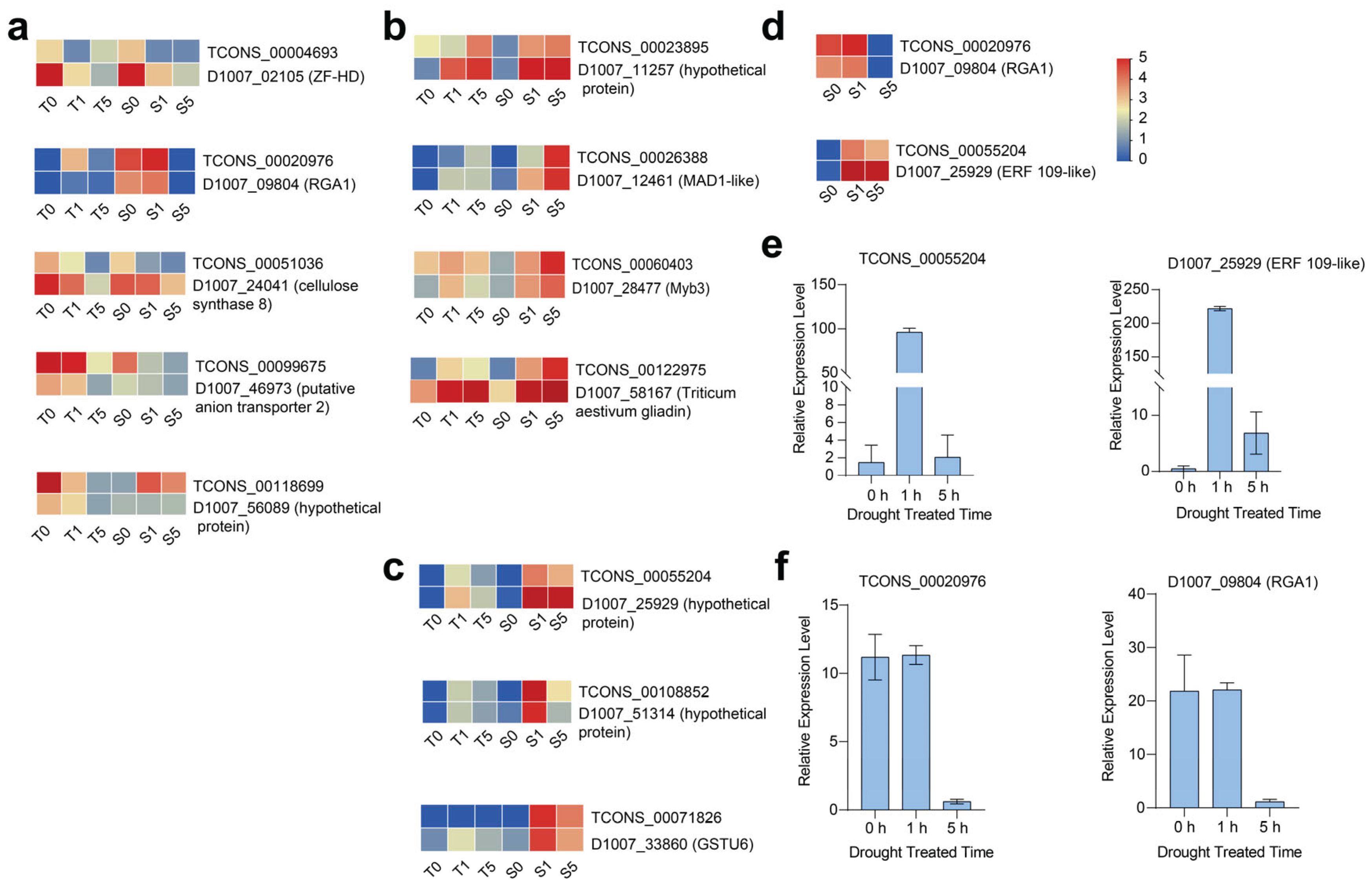 Preprints 160557 g006