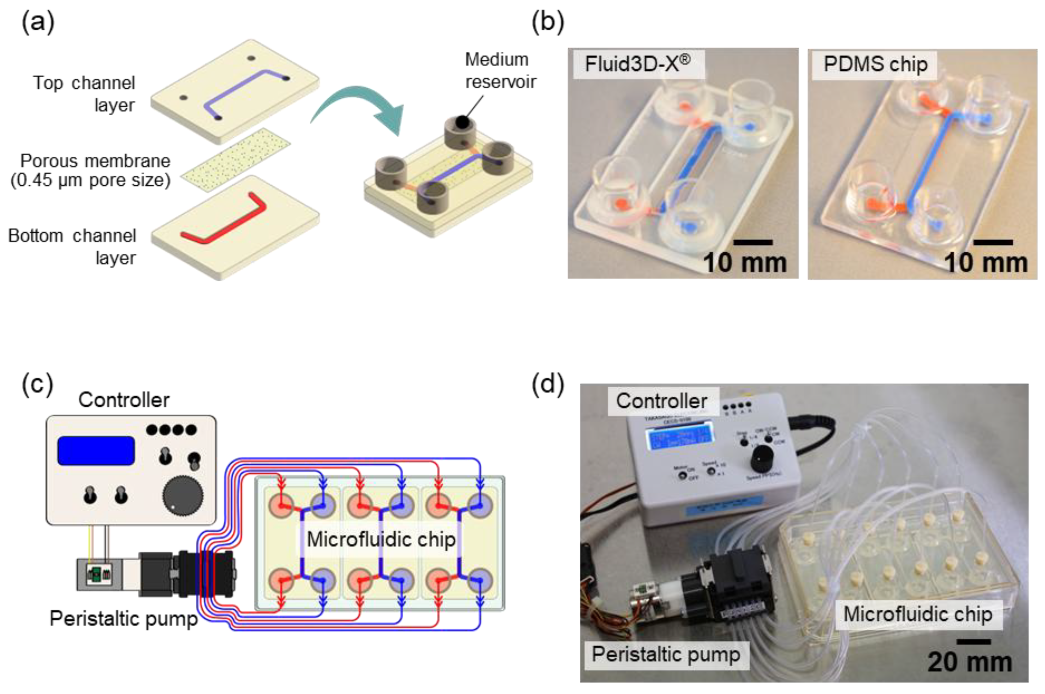 Preprints 149572 g001