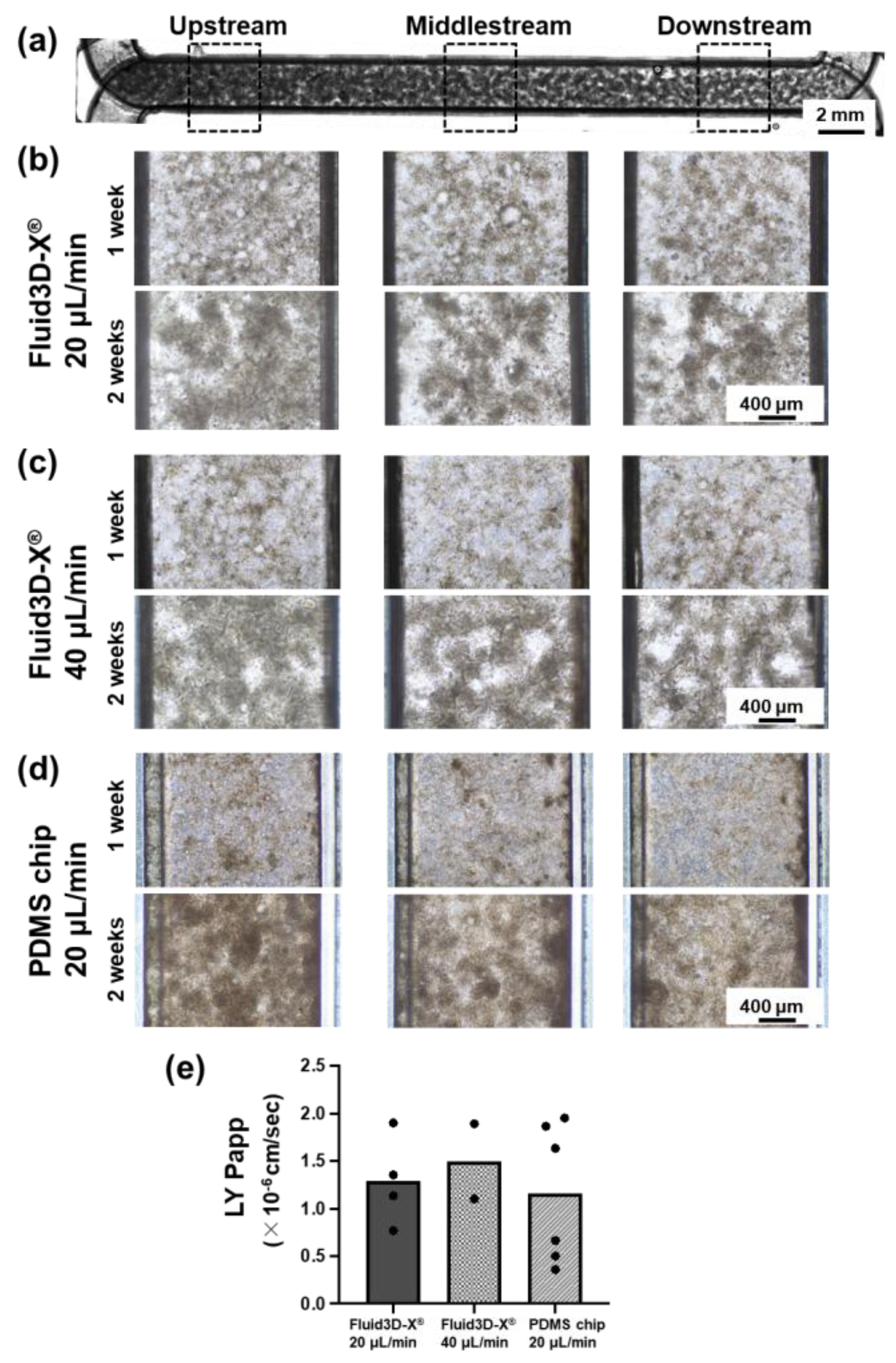 Preprints 149572 g003