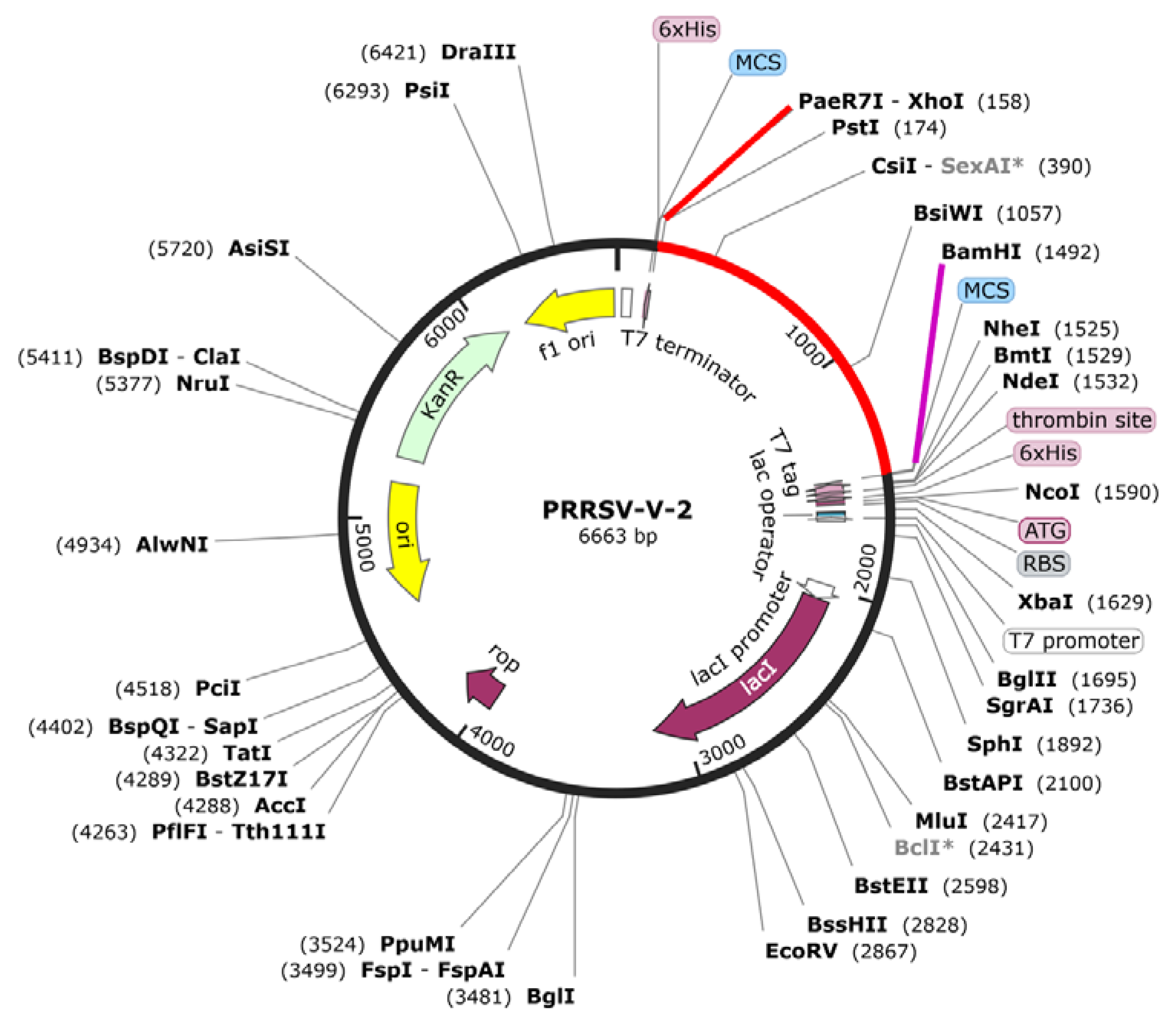 Preprints 150795 g007