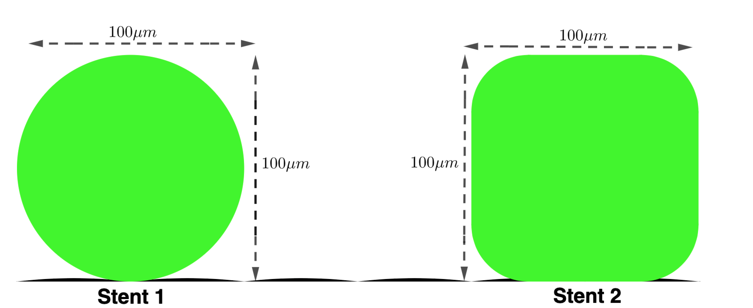 Preprints 140985 g002
