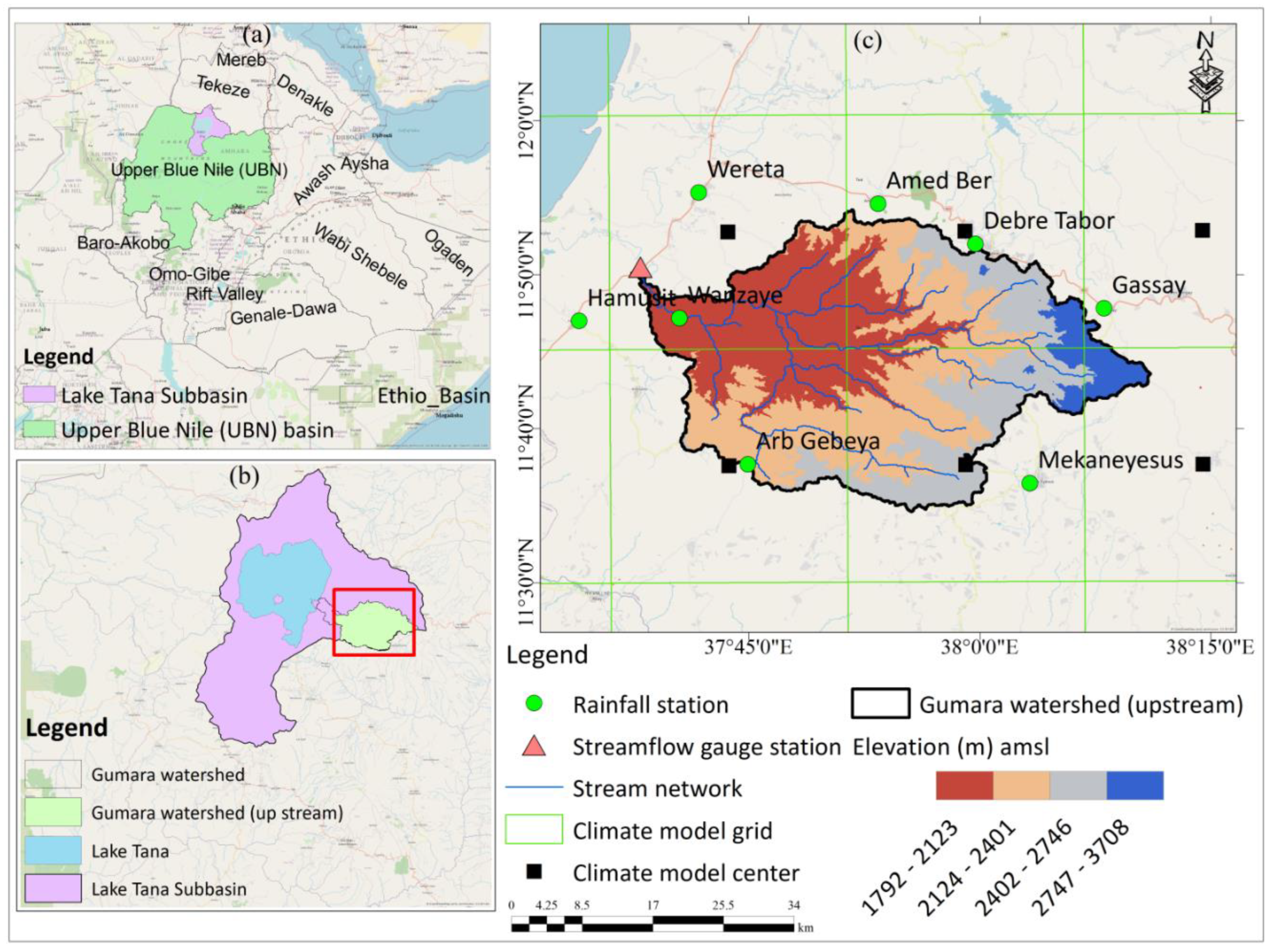 Preprints 143137 g001