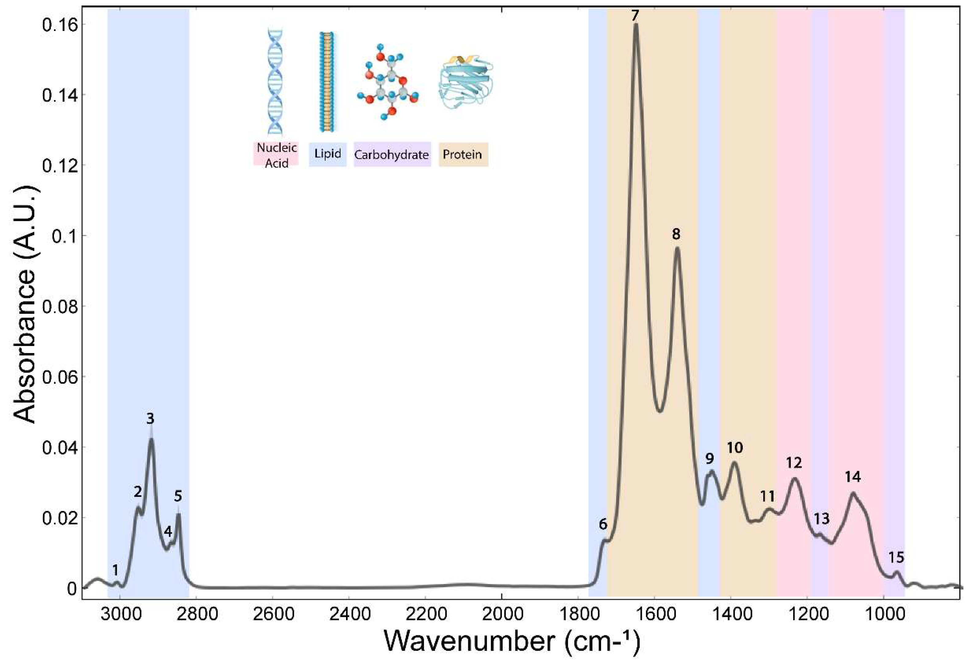Preprints 149622 g001