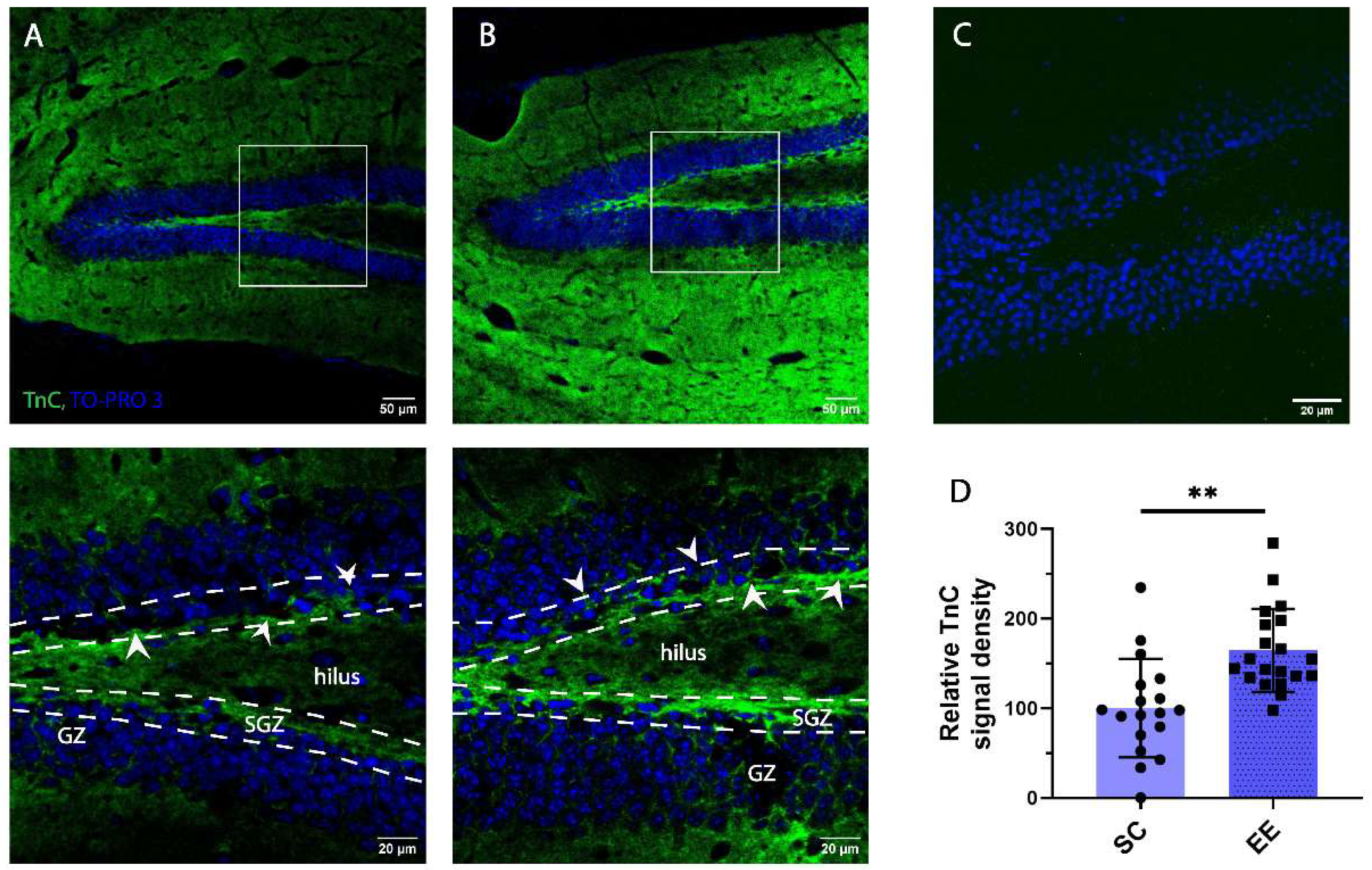 Preprints 149622 g005