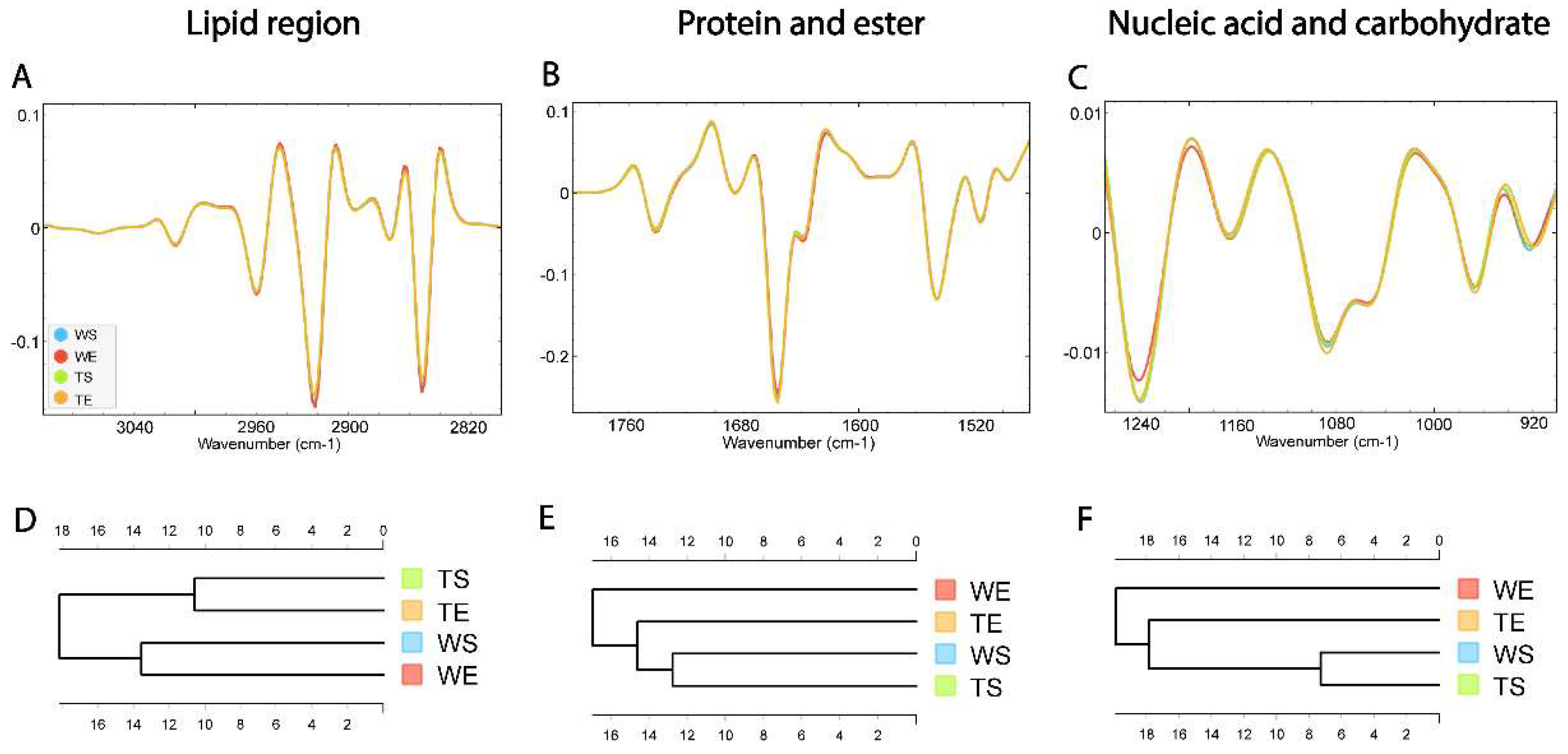 Preprints 149622 g006