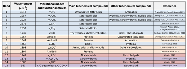 Preprints 149622 i001