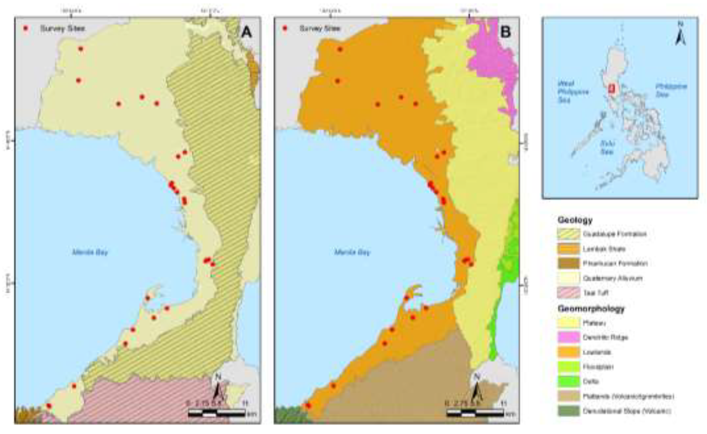 Preprints 146711 g001