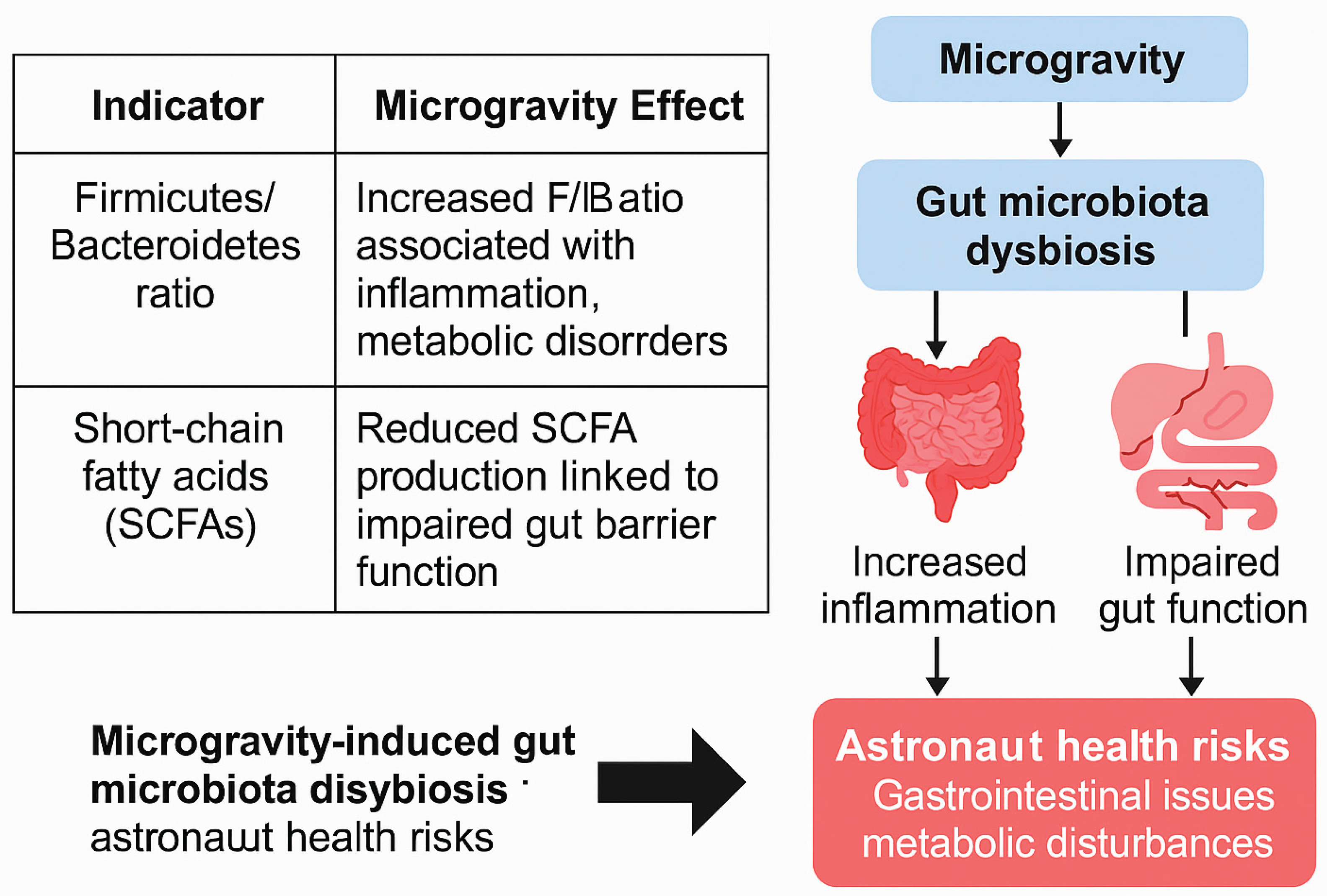Preprints 179703 g002