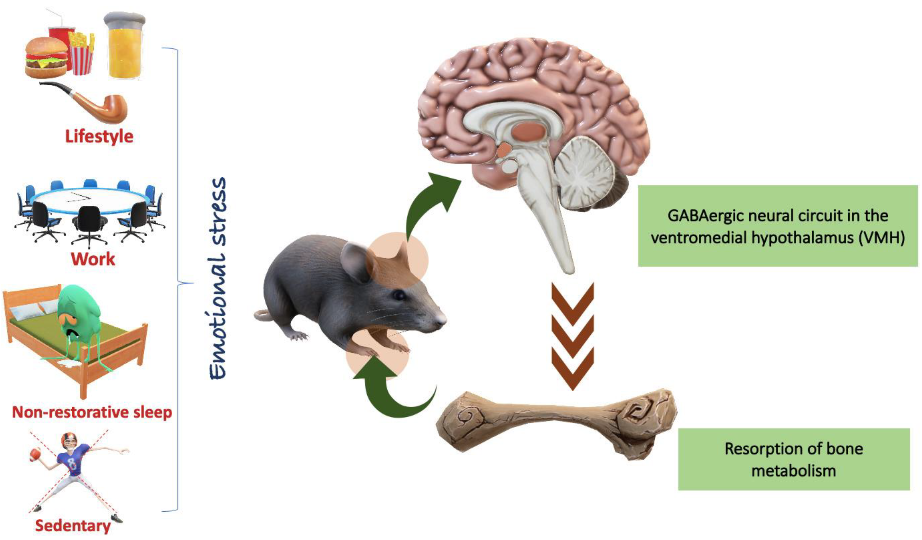 Preprints 141821 g001