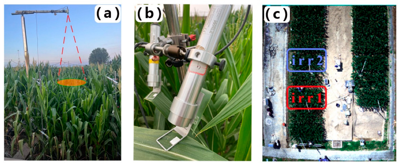 Preprints 142483 g001