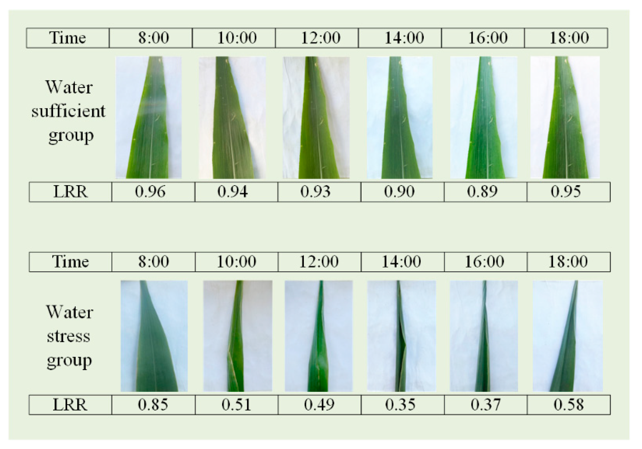 Preprints 142483 g003
