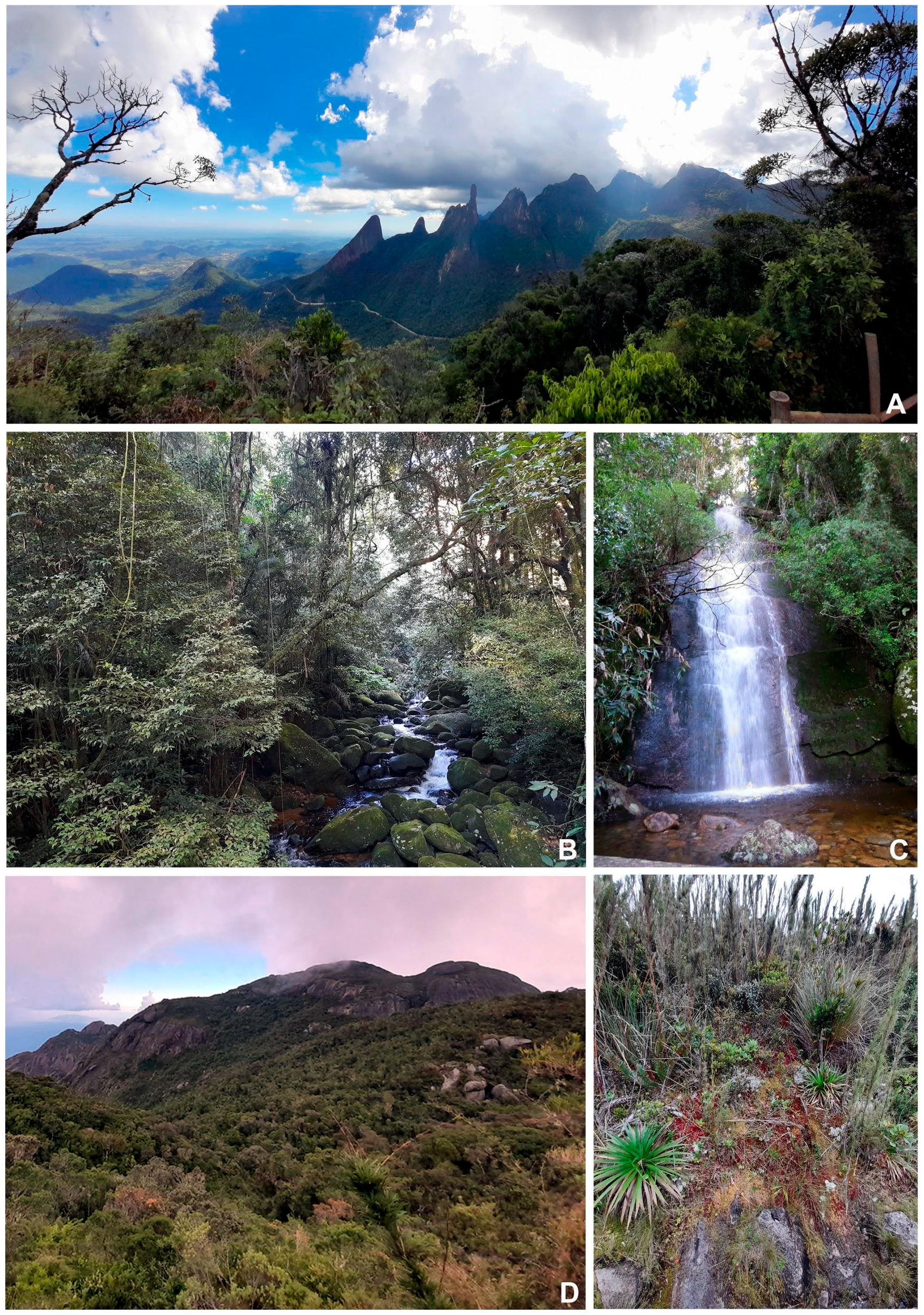 Preprints 164122 g004