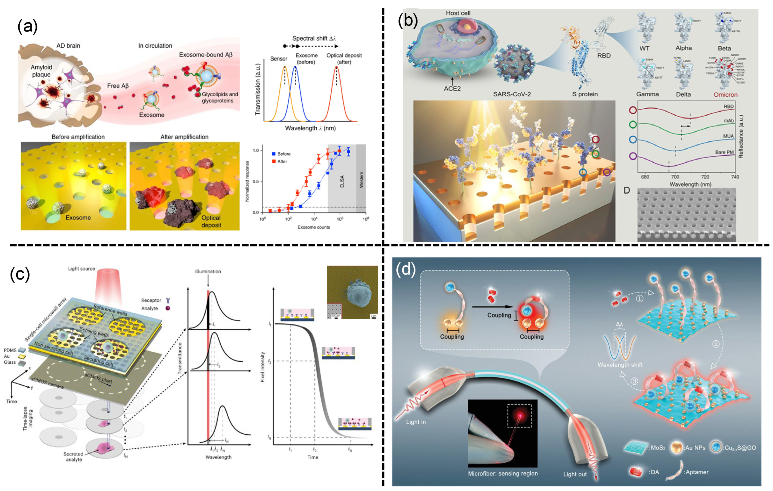 Preprints 162064 g003